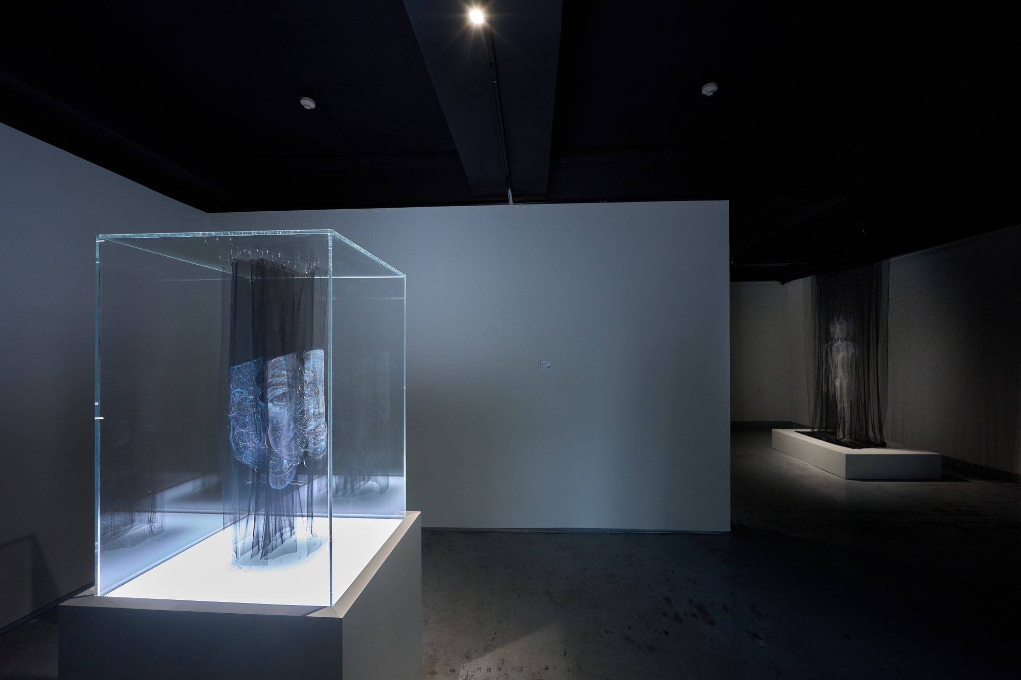 Twilight of the Icons