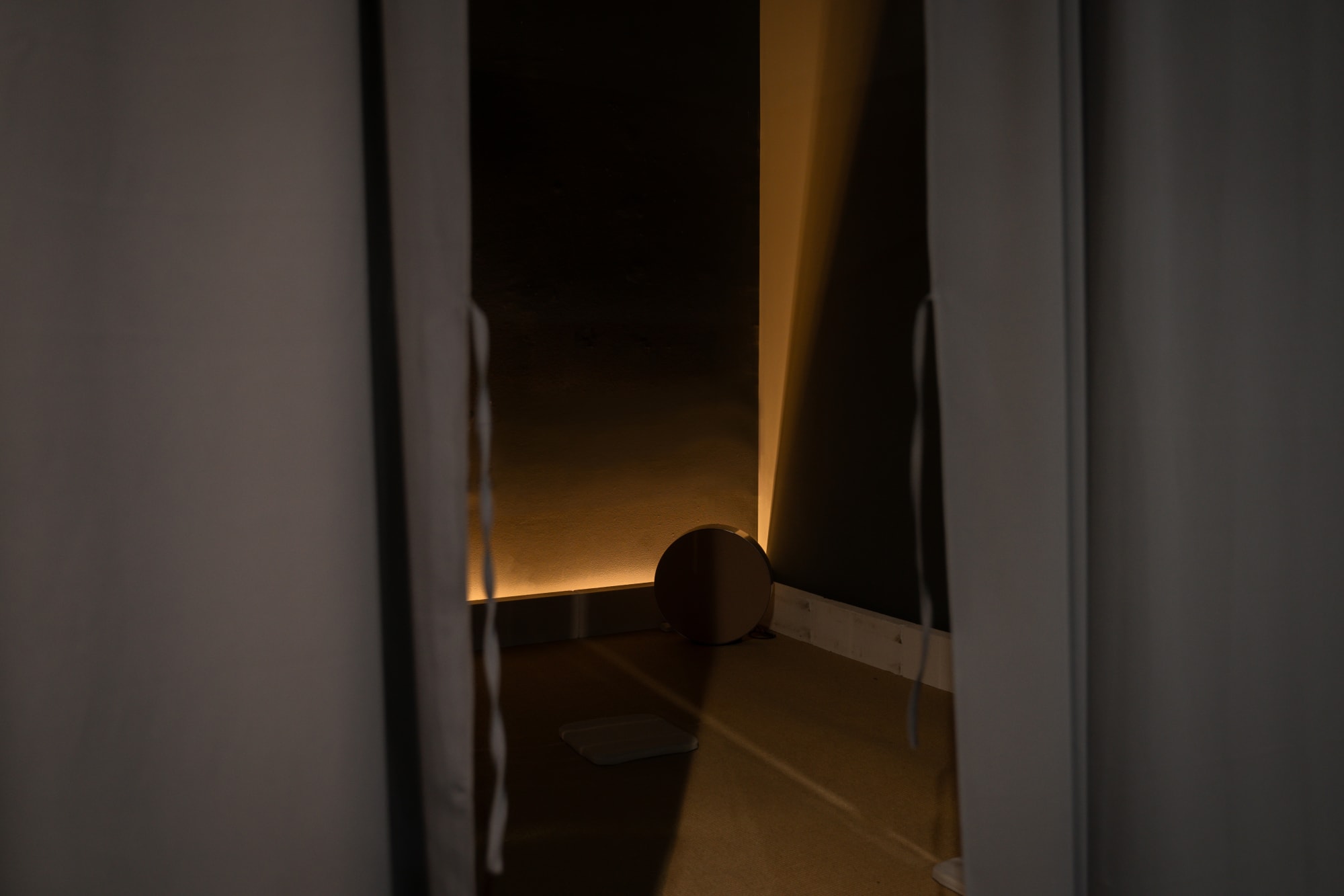 วิฬาร์ วิลิศมาหรา Eleganza Extravaganza Cats