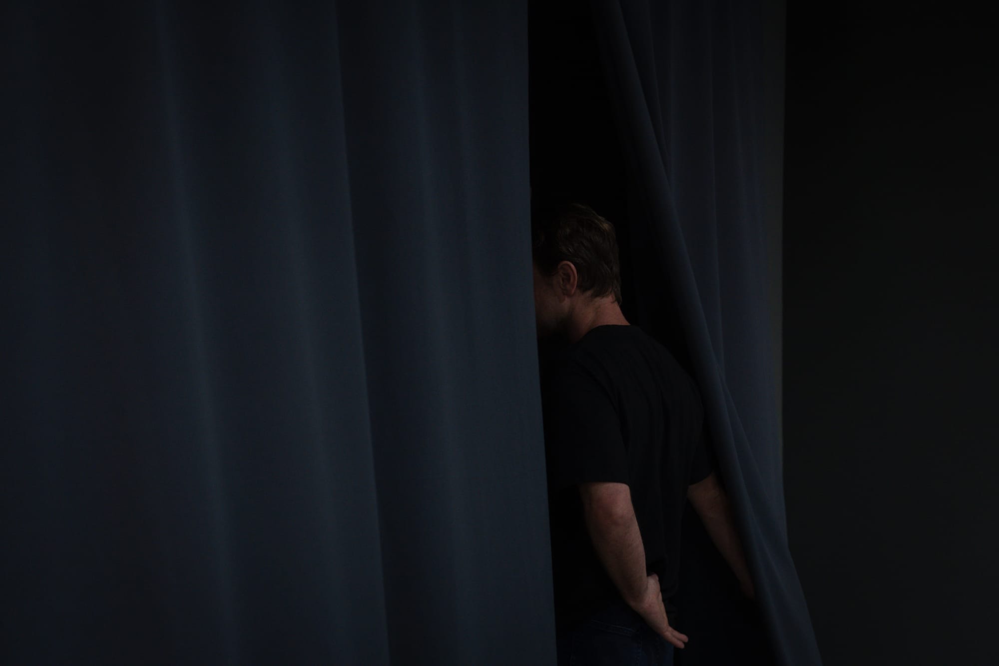 วิฬาร์ วิลิศมาหรา Eleganza Extravaganza Cats