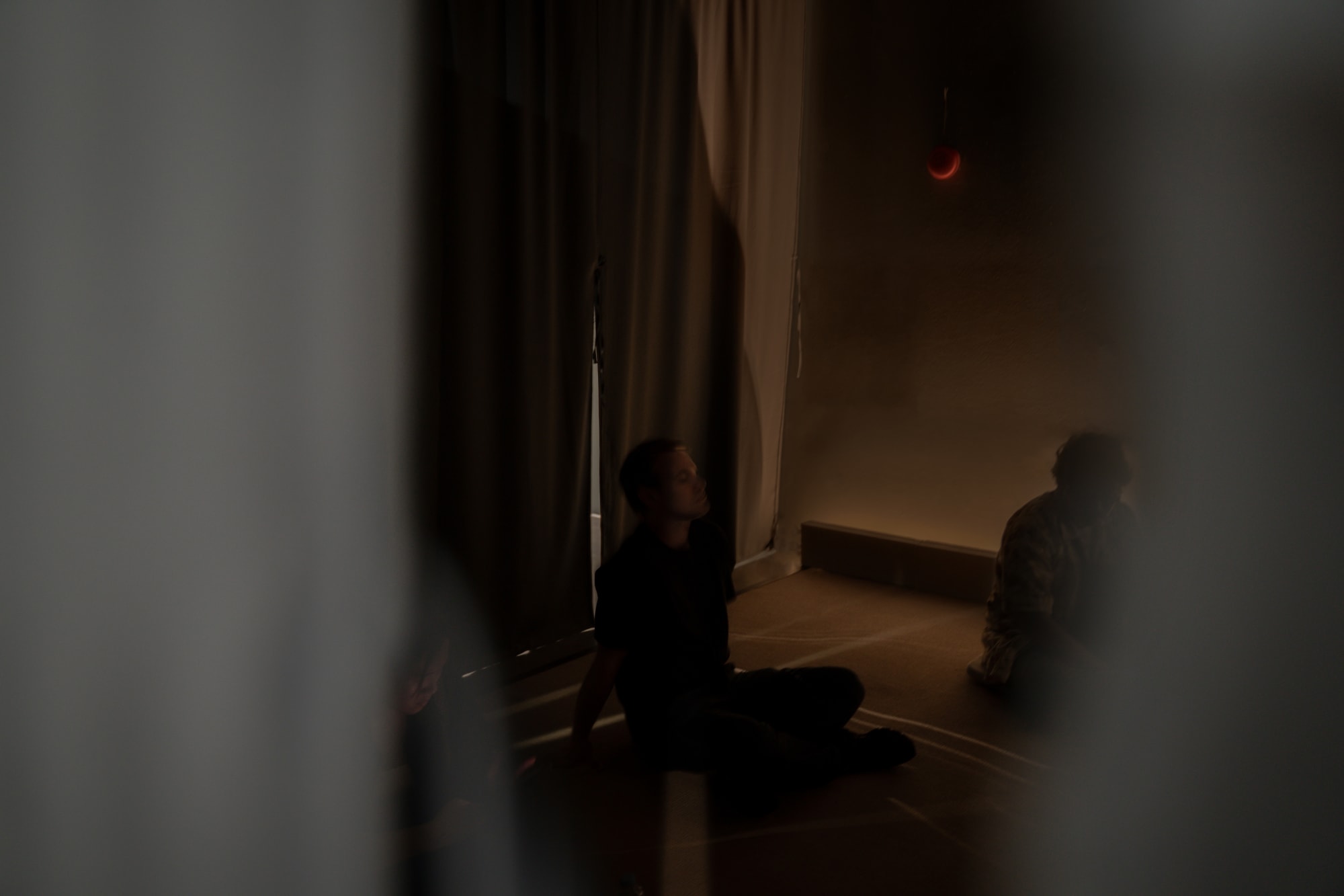 วิฬาร์ วิลิศมาหรา Eleganza Extravaganza Cats