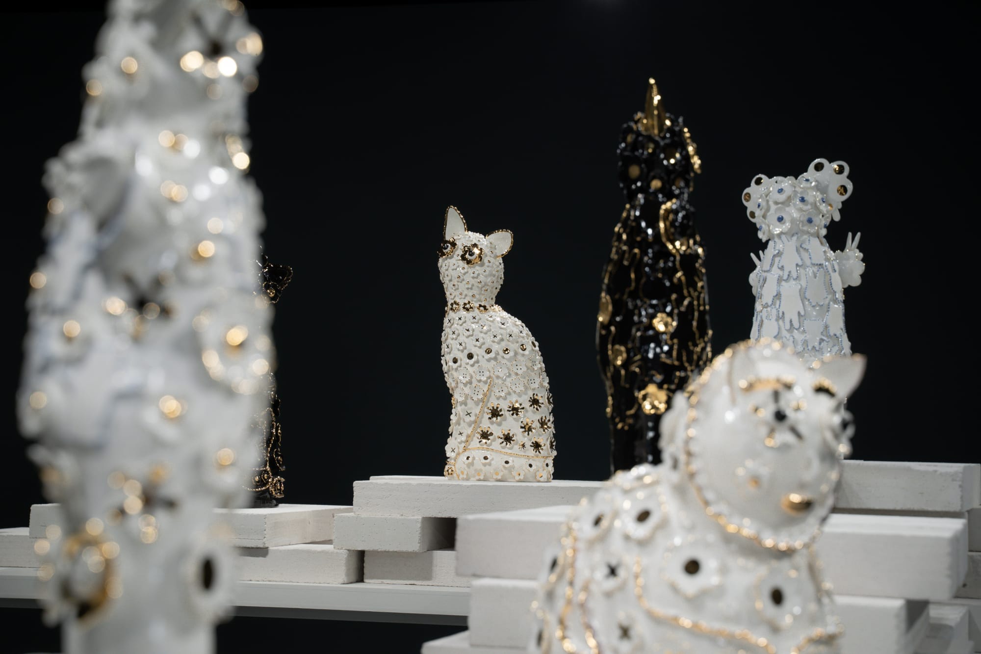 วิฬาร์ วิลิศมาหรา Eleganza Extravaganza Cats