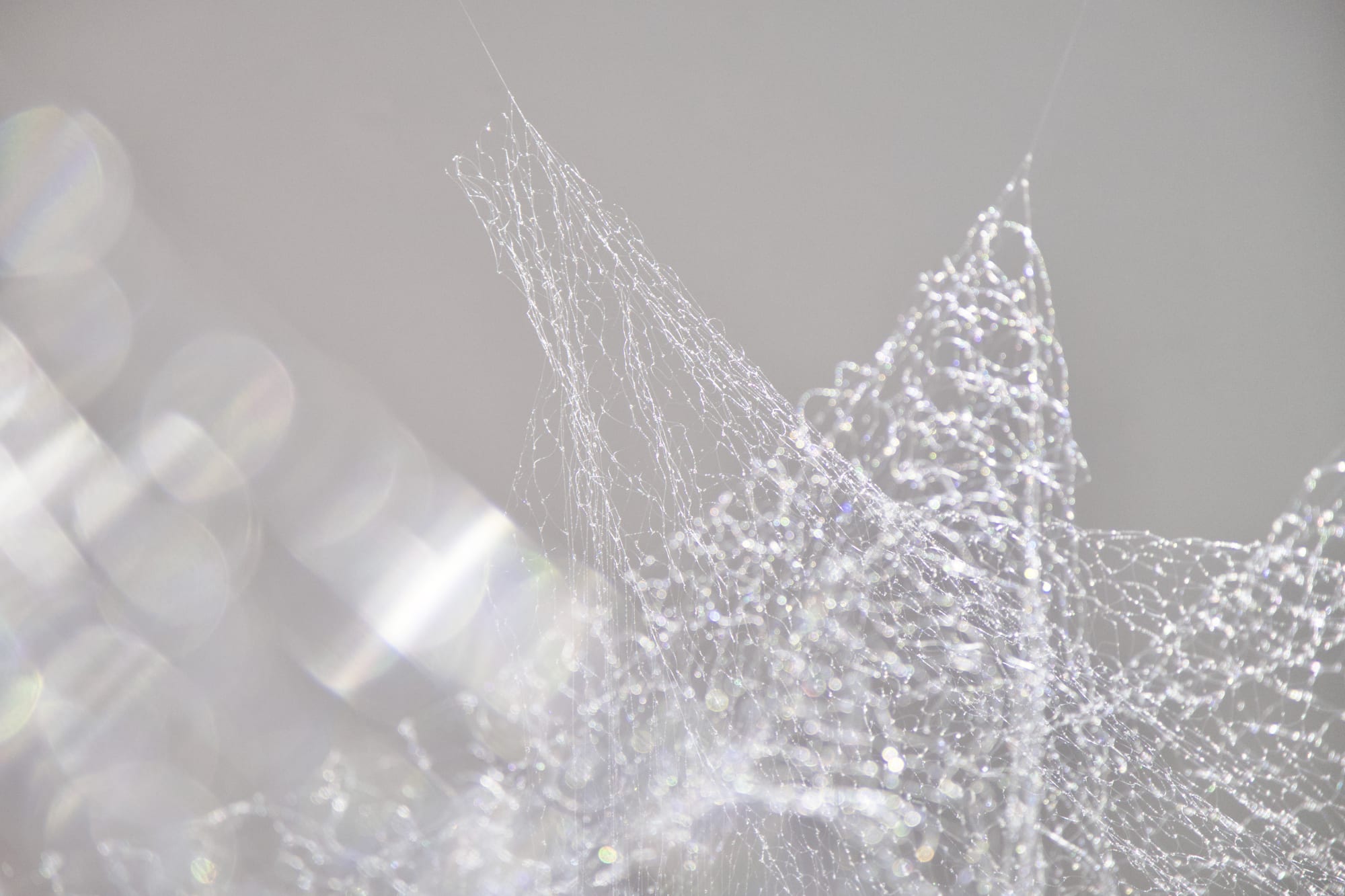 Only I Am You, Then I Became You