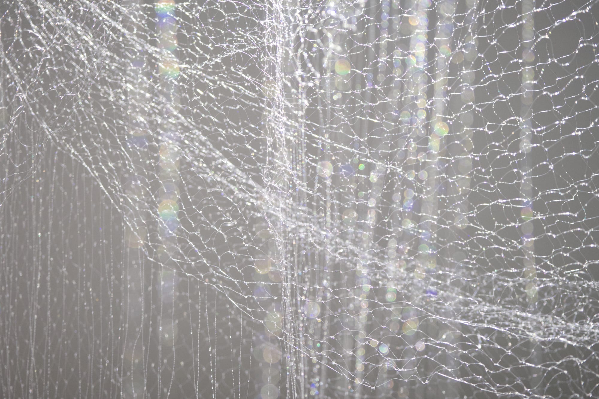 Only I Am You, Then I Became You