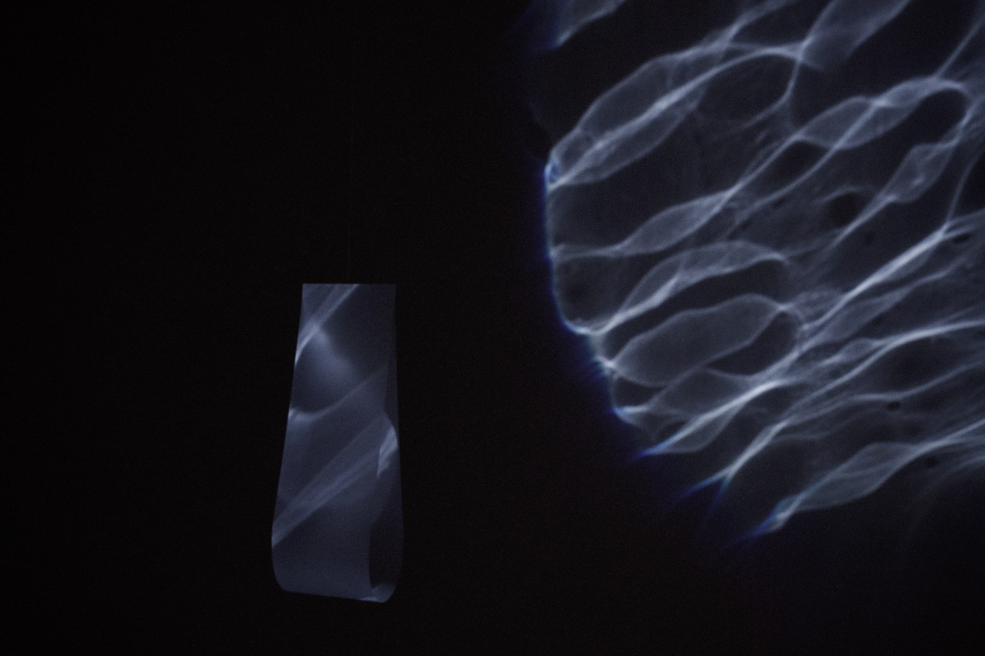 Only I Am You, Then I Became You