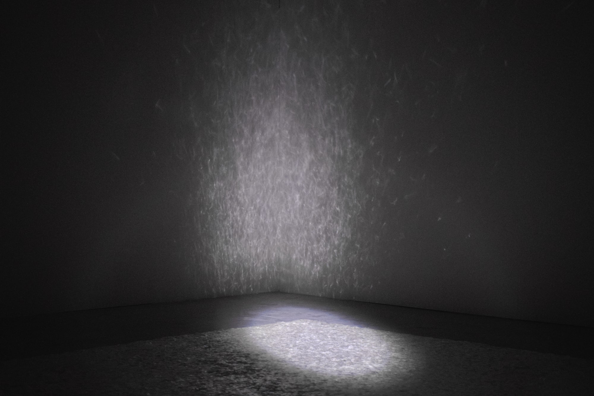 Only I Am You, Then I Became You