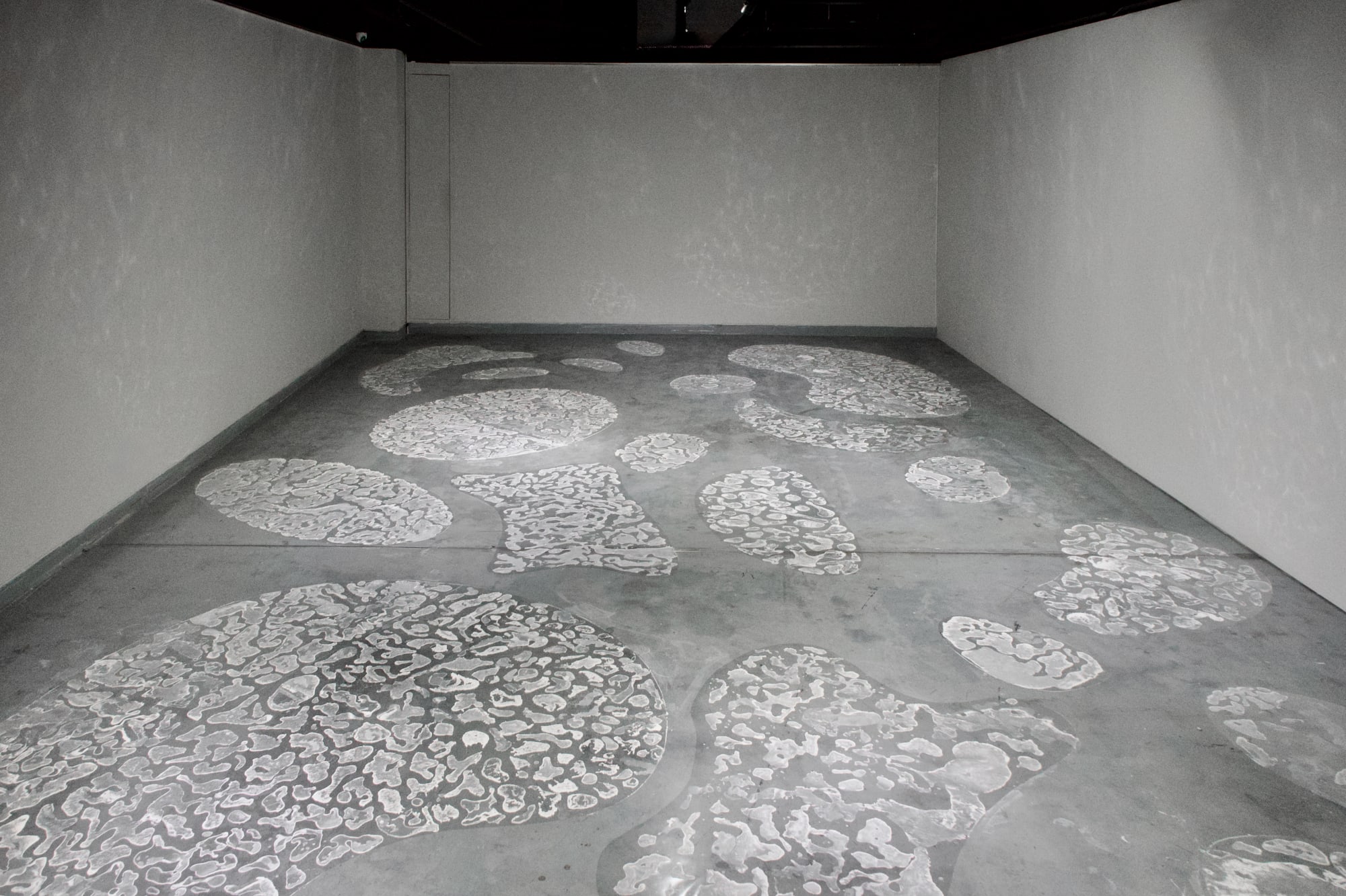 Only I Am You, Then I Became You