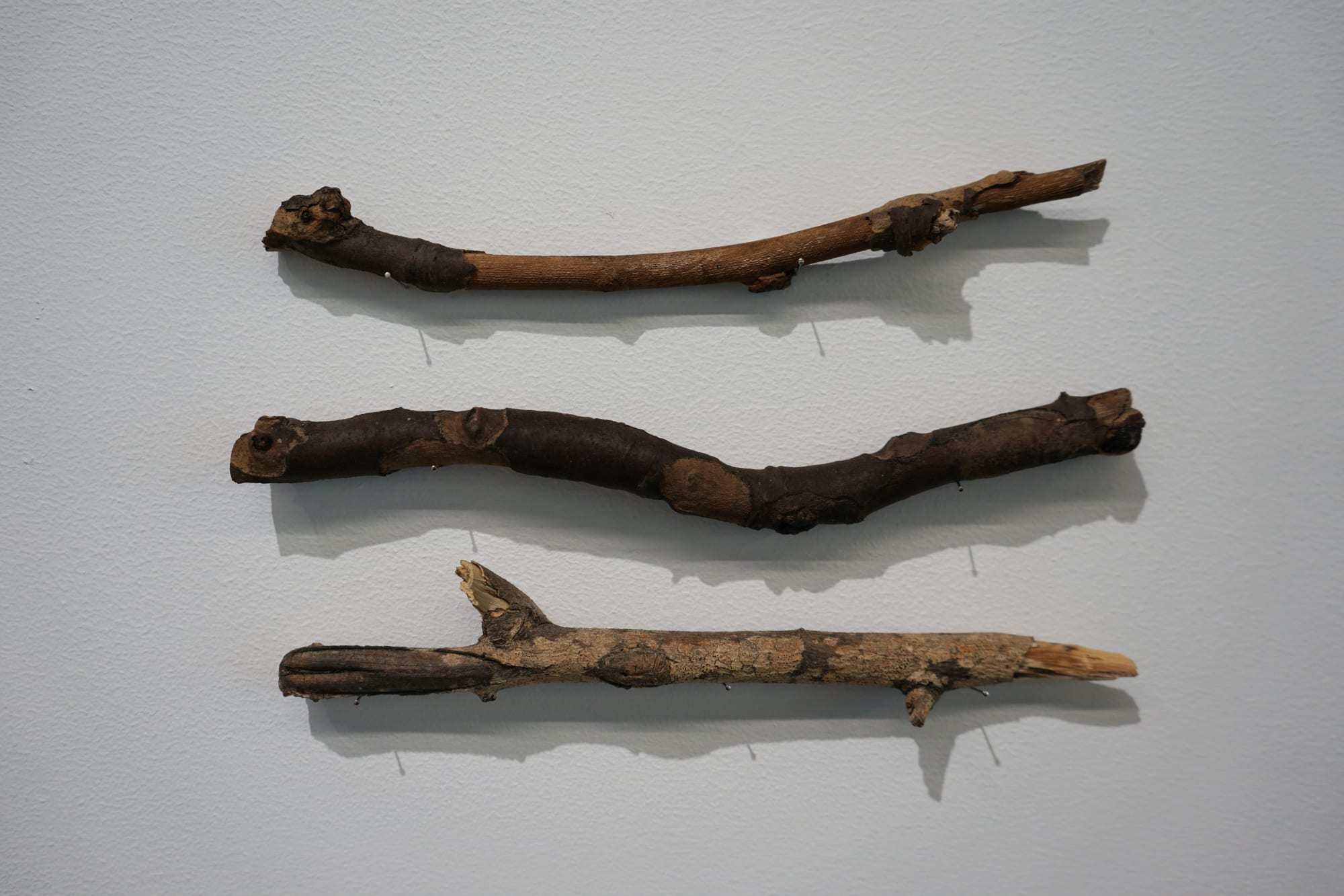 Rak: an assemble collective