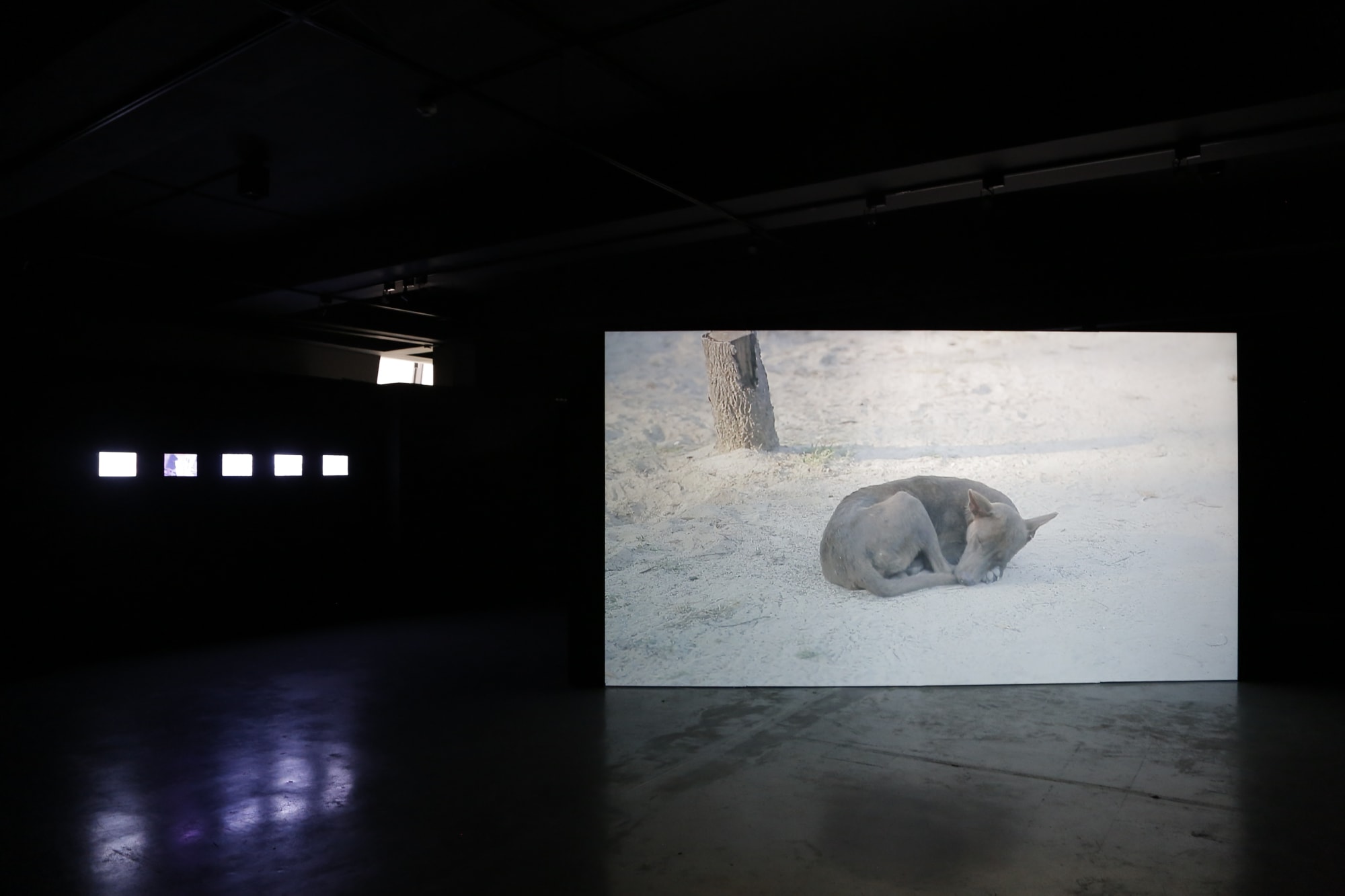 Beyond the Final Frontier