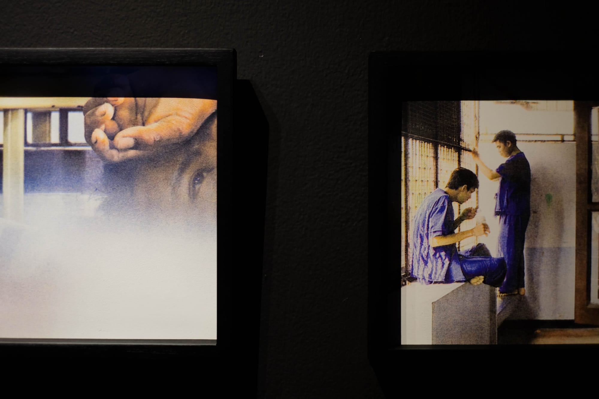 Until the Morning Comes