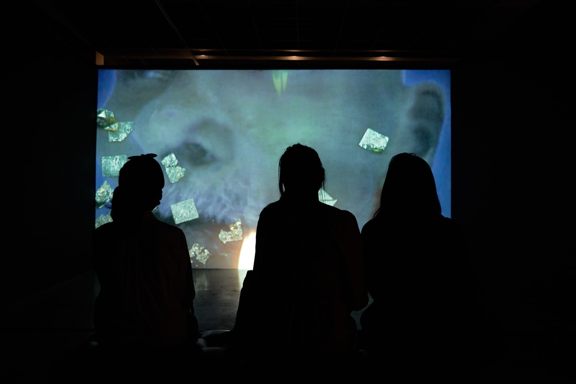 Monster (คน สัตว์ สิ่งของ)