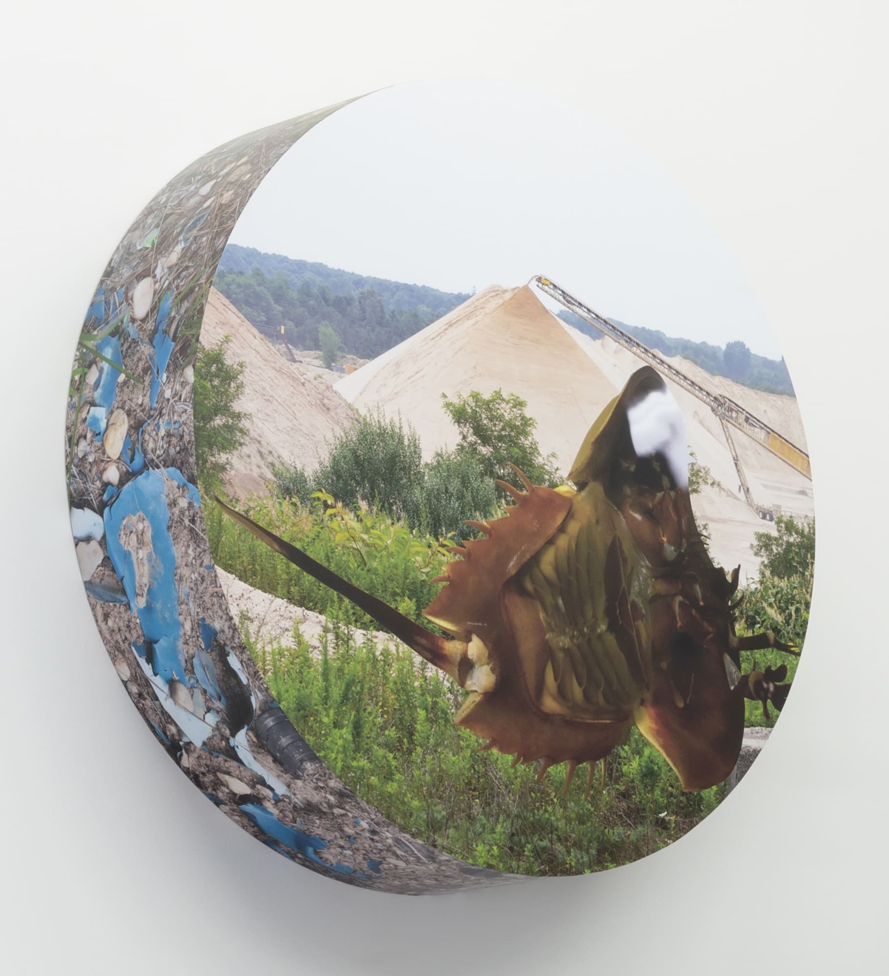 Rachael Champion, The Downeaster ‘Alexa’, 2018, Vinyl print on plywood, 76.2 x 20.3 cm, 30 x 8 in