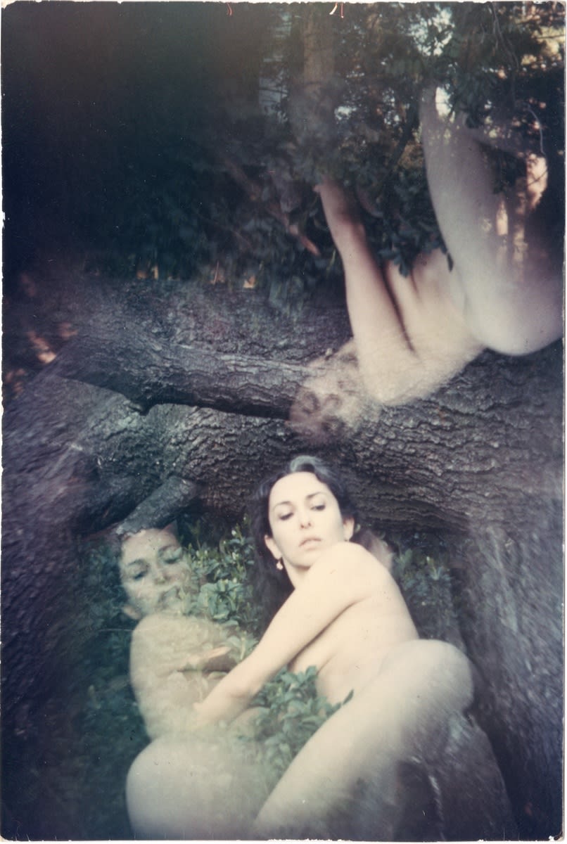 Carolee Schneemann, Water Light/Water Needle, 1966, Unique color photograph, 11.6 x 7.8 cm, 4 5/8 x 3 1/8 in, Framed: 31 x 26 x 3 cm, 12 1/4 x 10 1/4 x 1 1/8 in