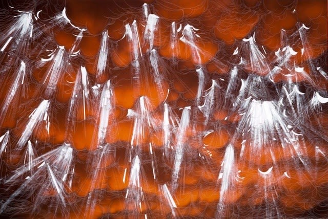 Sebastiaan Bremer, Icarus, 2013/2014, Unique hand-painted and carved digital chromogenic print with mixed media, 122.2 x 182.9 cm, 48 1/8 x 72 in