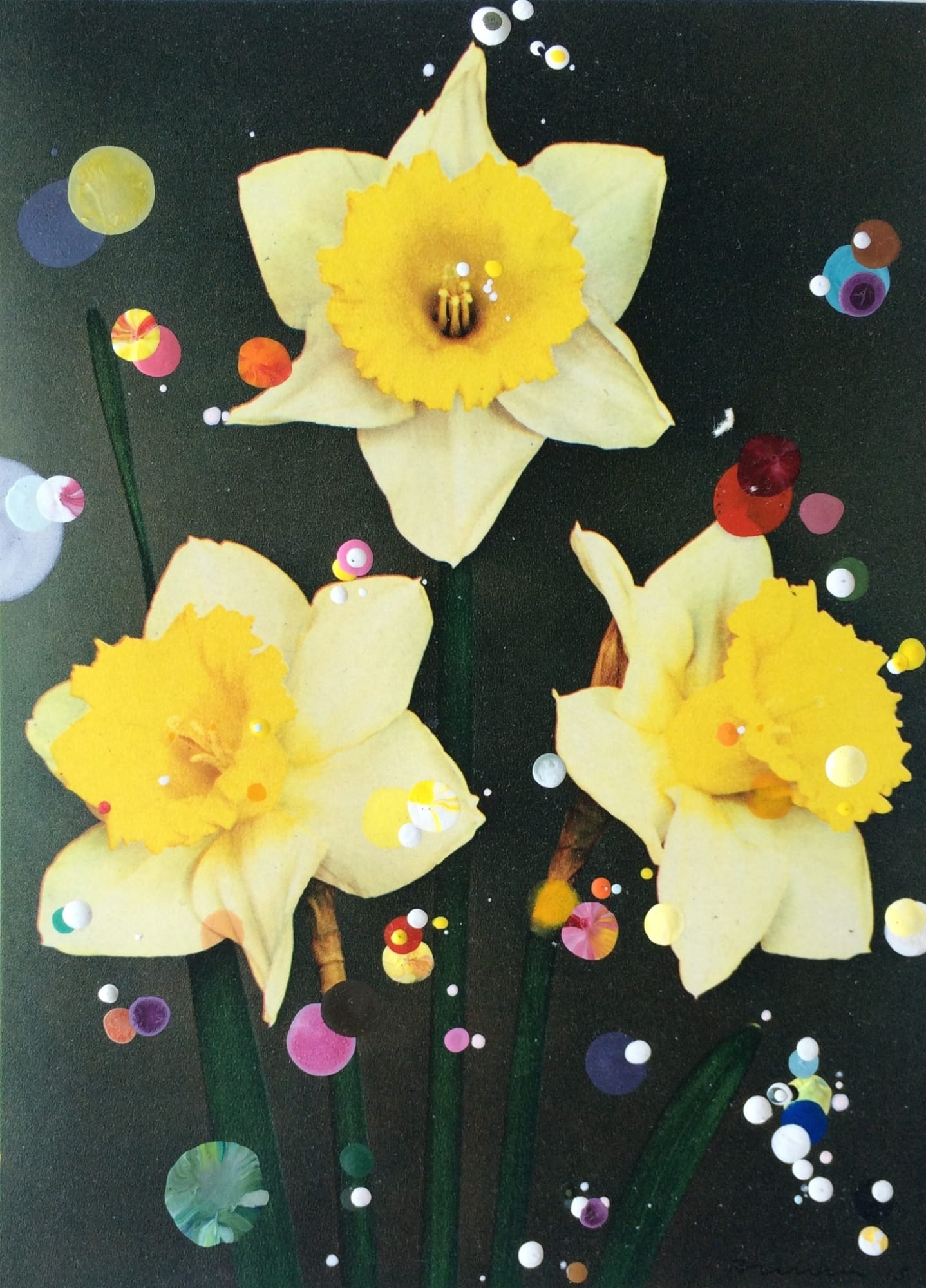 Sebastiaan Bremer, Bicolor Trompetnarcis Queen of Bicolors, 2015, Unique hand-painted chromogenic print with mixed media, unframed: 18.5 x 13.5 cm, 7 1/4 x 5 1/4 in, framed: 30.5 x 25 cm, 12 1/8 x 9 7/8 in