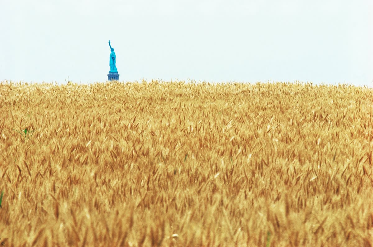 Agnes Denes, Wheatfield – A Confrontation: Battery Park Landfill, Downtown Manhattan – With Statue of Liberty Across the Hudson, 1982
