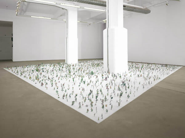 Installation view of Zadock Ben David, Black Field, at Hales London