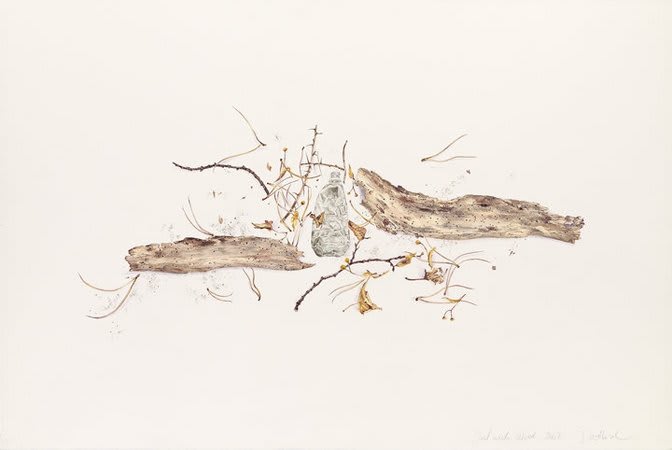 Jane Wilbraham, Dulwich Wood, 2007, Watercolour on Arches paper, 113 x 163 cm, 44.52 x 64.22 in