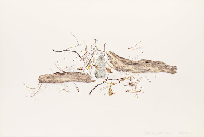 Jane Wilbraham, Dulwich Wood, 2007, Watercolour on Arches paper, 113 x 163 cm, 44.52 x 64.22 in