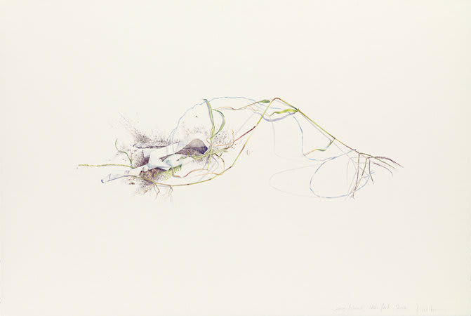 Jane Wilbraham, Long Island, New York, 2007, Watercolour on Arches paper, 113 x 163 cm, 44.52 x 64.22 in