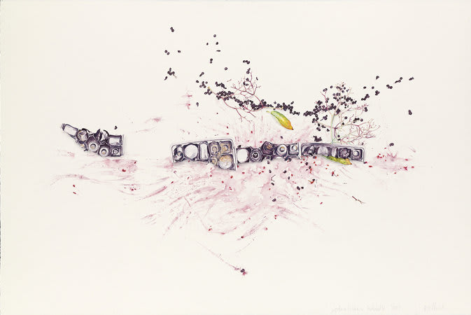 Jane Wilbraham, Sydenham Woods, 2007, Watercolour on Arches paper, 113 x 163 cm, 44.52 x 64.22 in