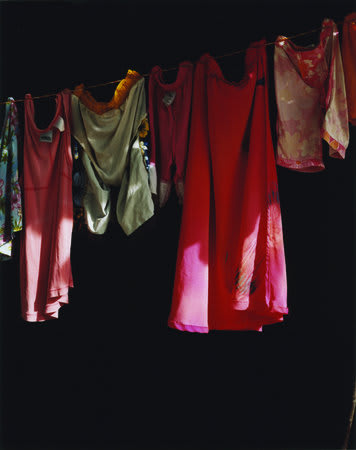 Trevor Appleson, Hot wash (strung out), 2007, C-Type print, 134 x 106 cms, 52.8 x 41.76 inches