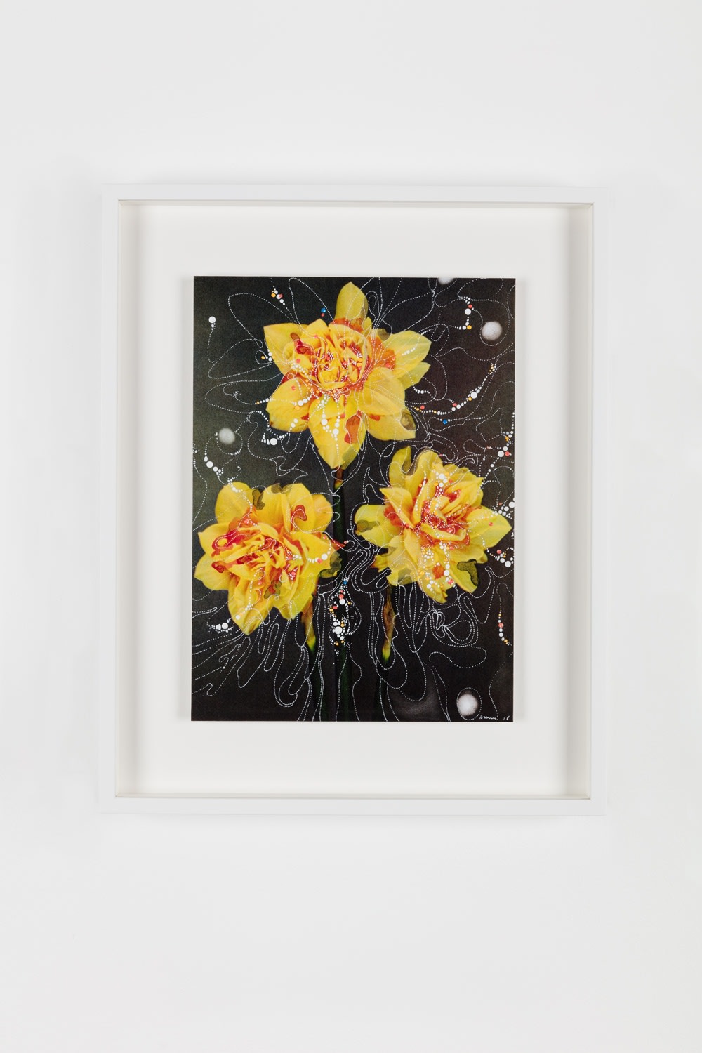 Sebastiaan Bremer, Double Narcissus Texas Mark, 2018, Archival inkjet pigment print on resin coated paper with hand additions in acrylic, photo retouch dye, and pigment pen, 27.9 x 20.3 cm, 11 x 8 in, Framed: 38.6 x 31.1 x 3.7 cm, 15 1/4 x 12 1/4 x 1 1/2