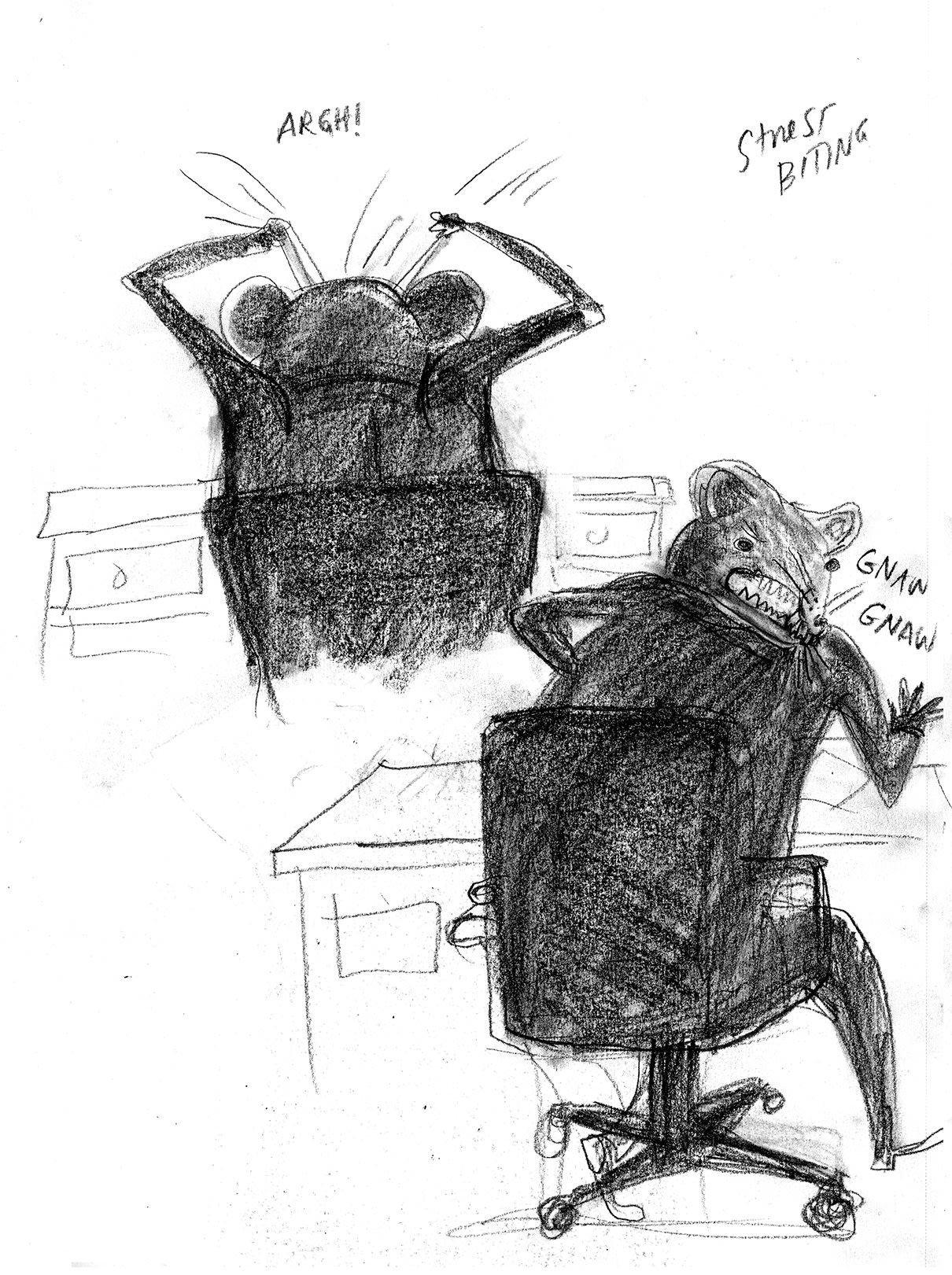 Deb Lucke: The Year of the Rat