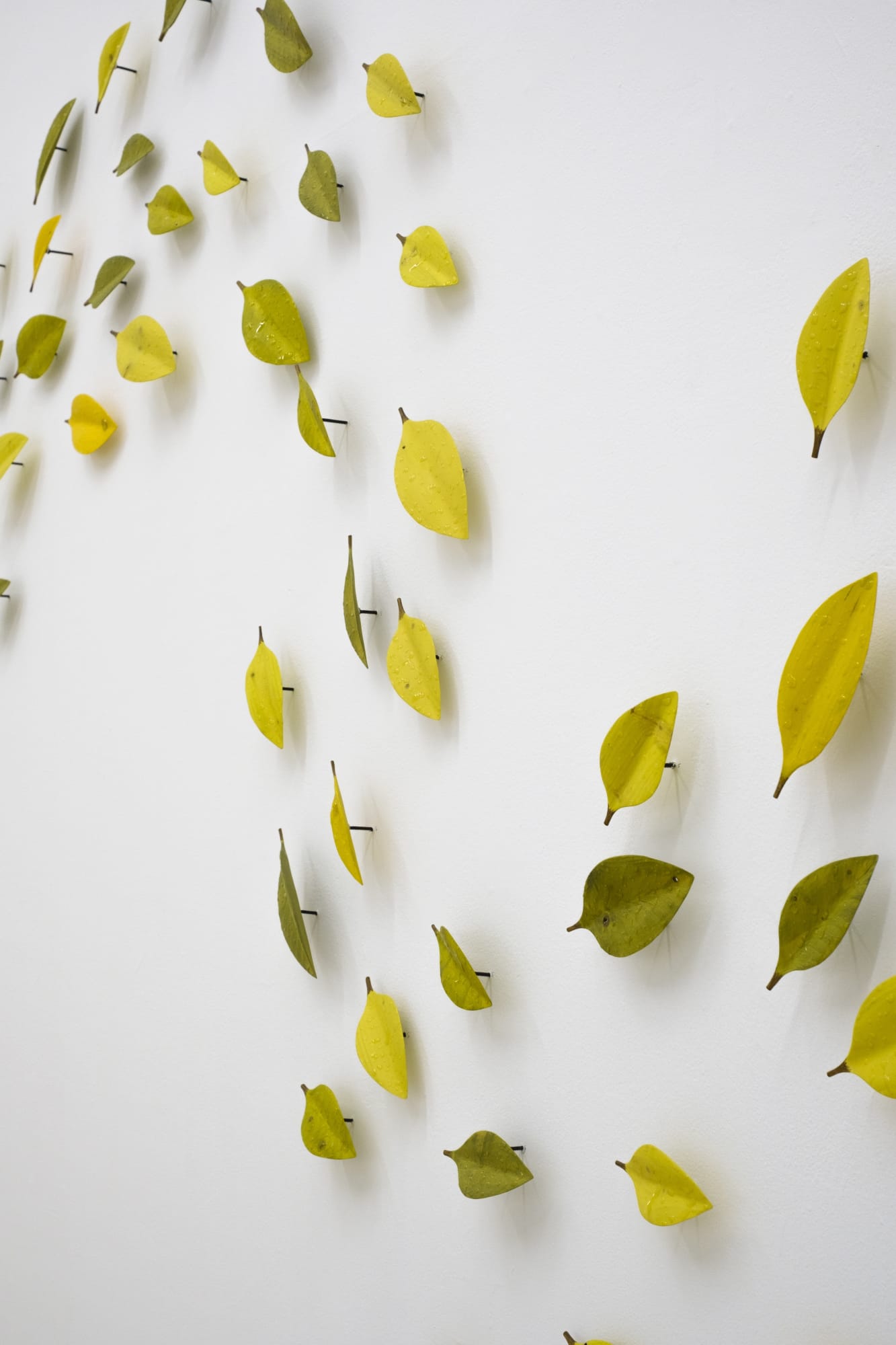 Raul de Lara: I Wake Up In a Foreign Country Every Day