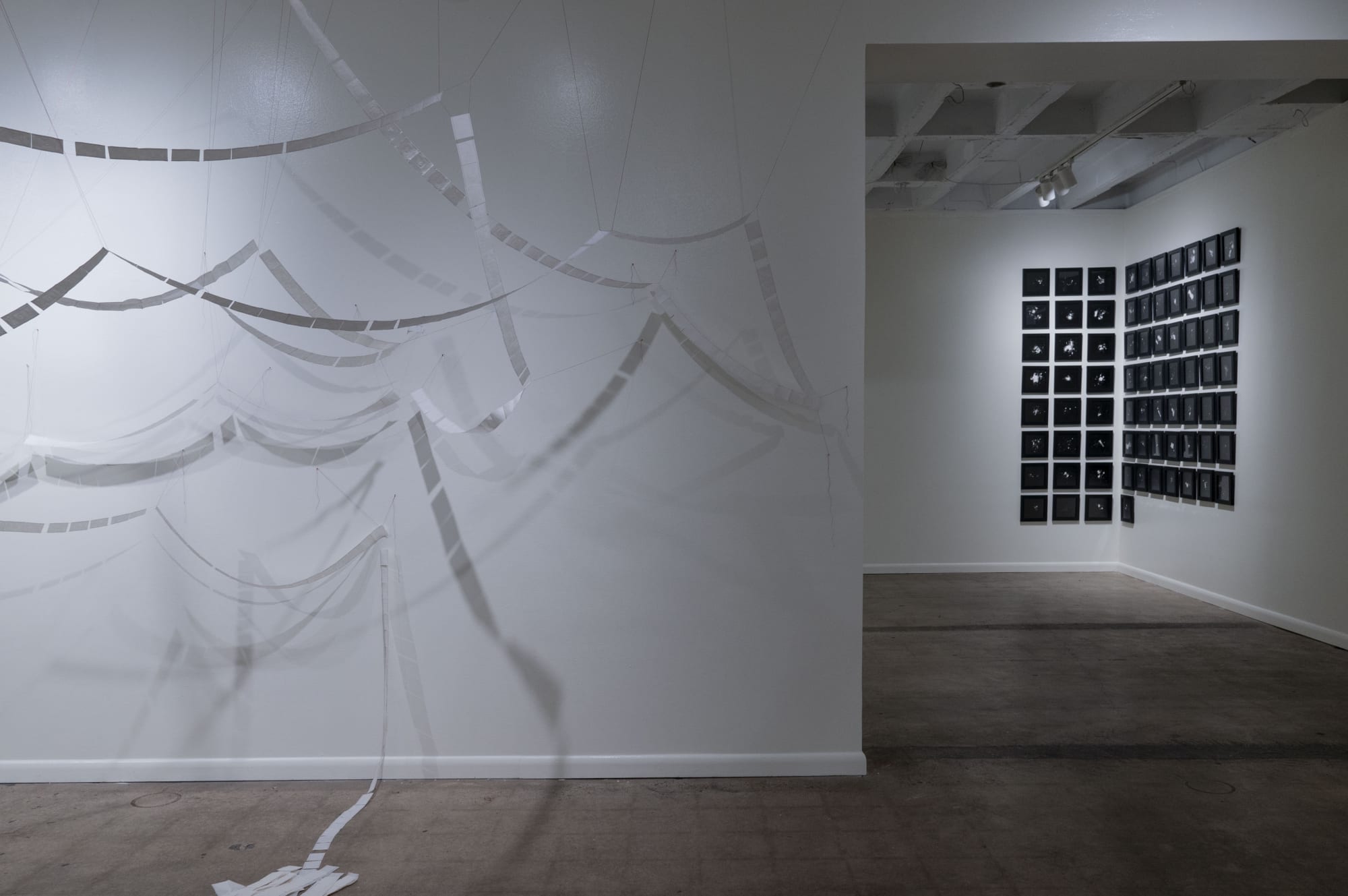 Sarah Irvin: A Group of Related Things at Culture House DC