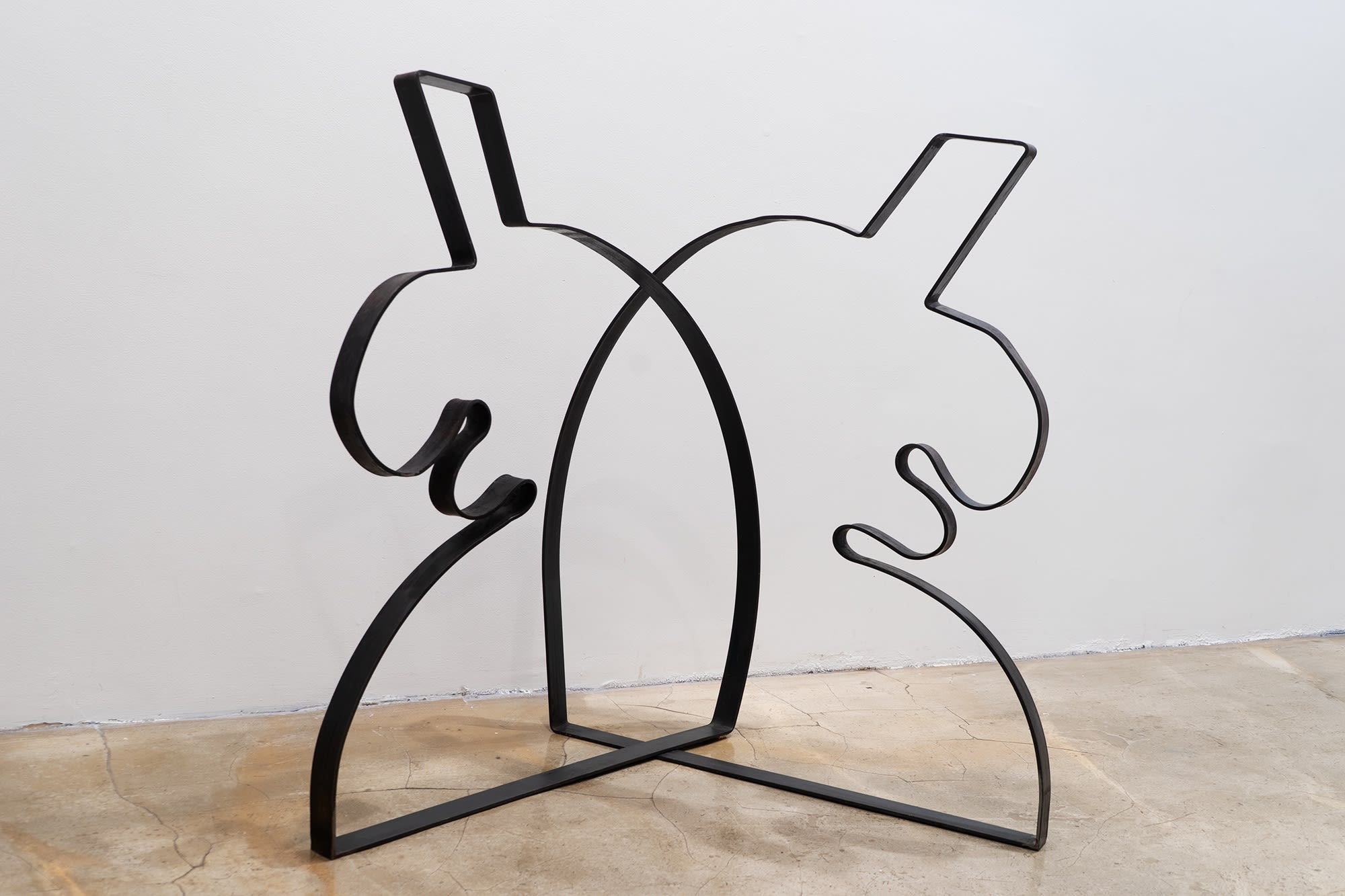 Positive, Negative: Joan Witek, Jonathan Ryan Storm, Seamus Heidenreich