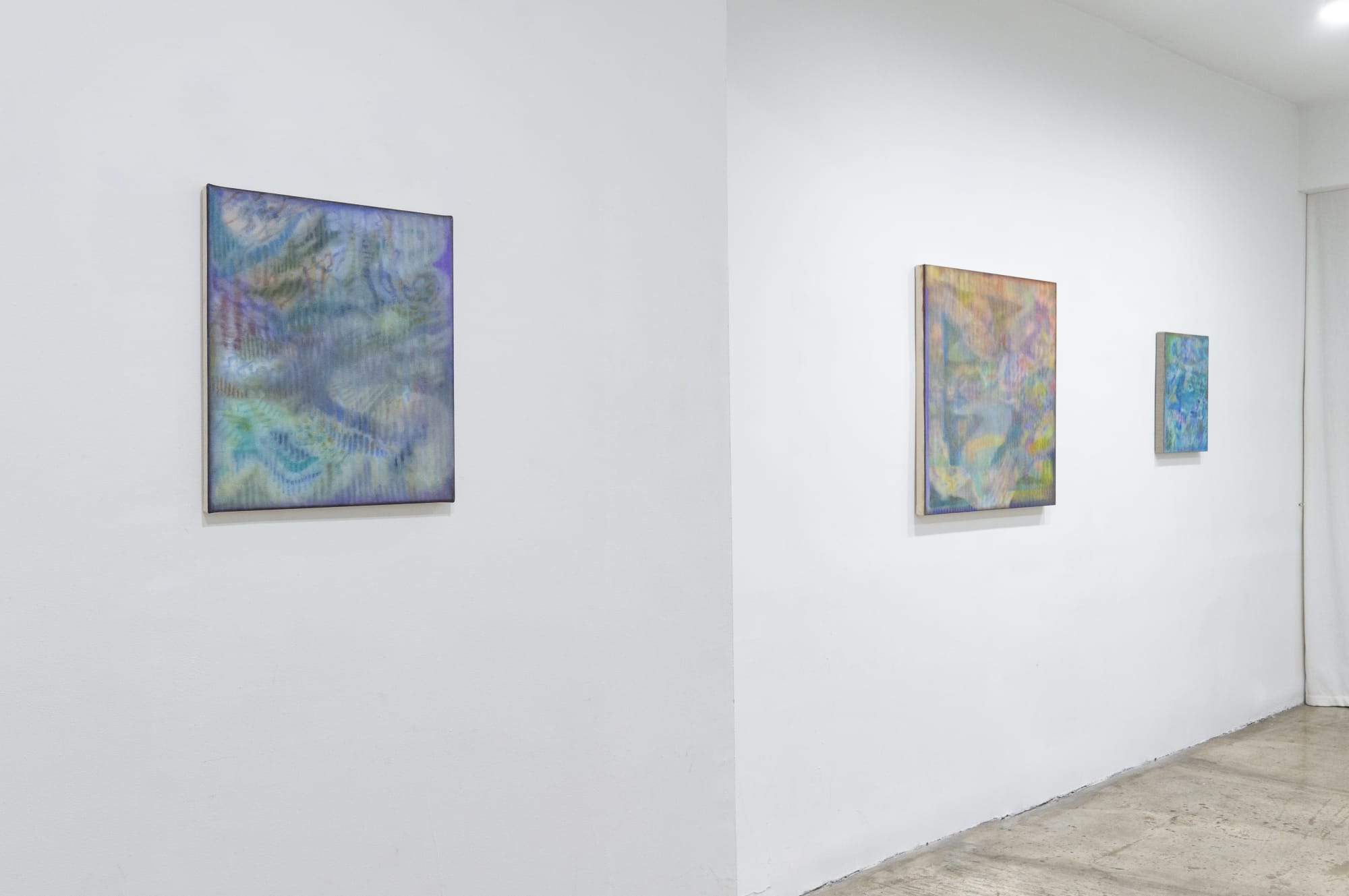 Marjorie Norman Schwarz: A Walk On Moss