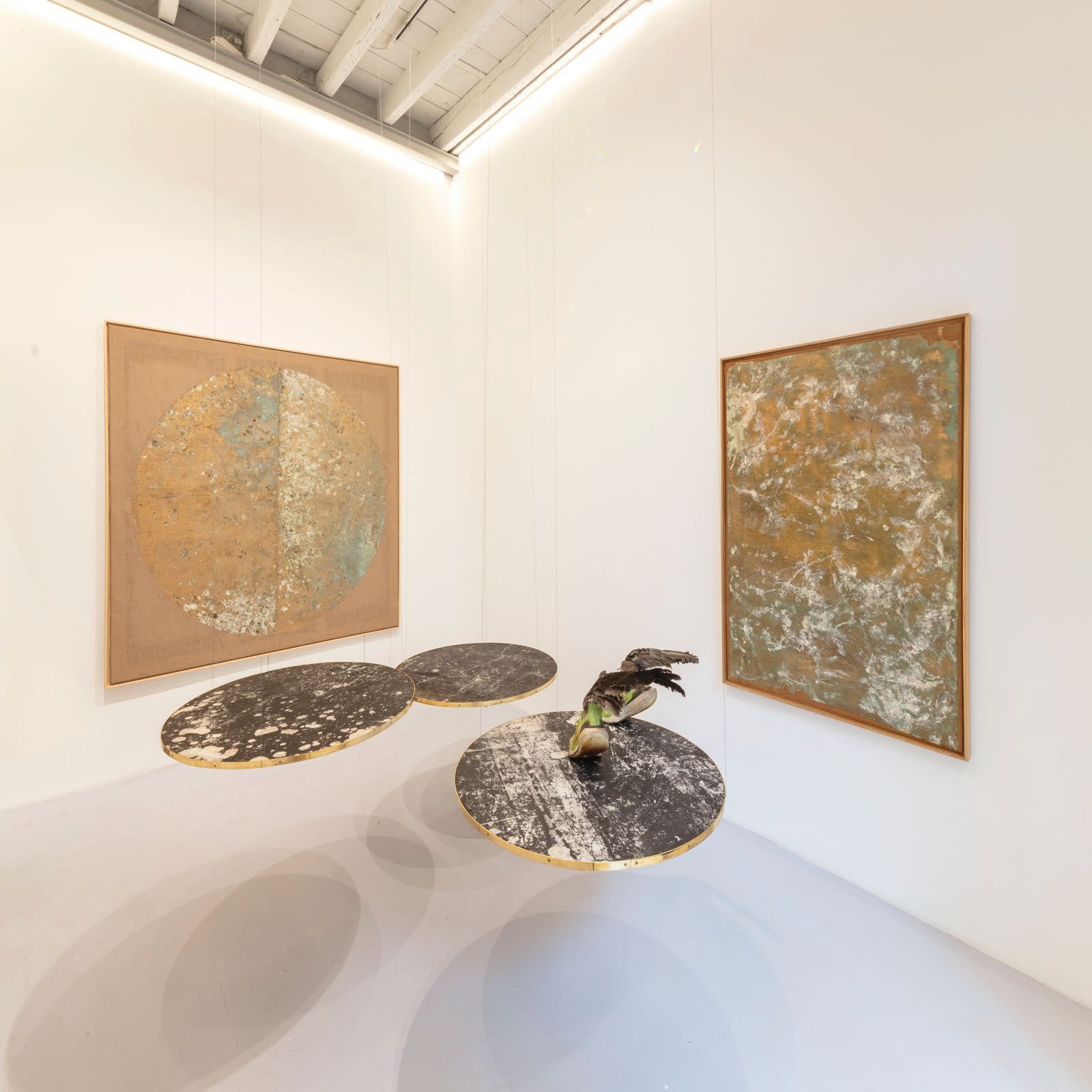 Giancarlo Scaglia & Amikam Toren