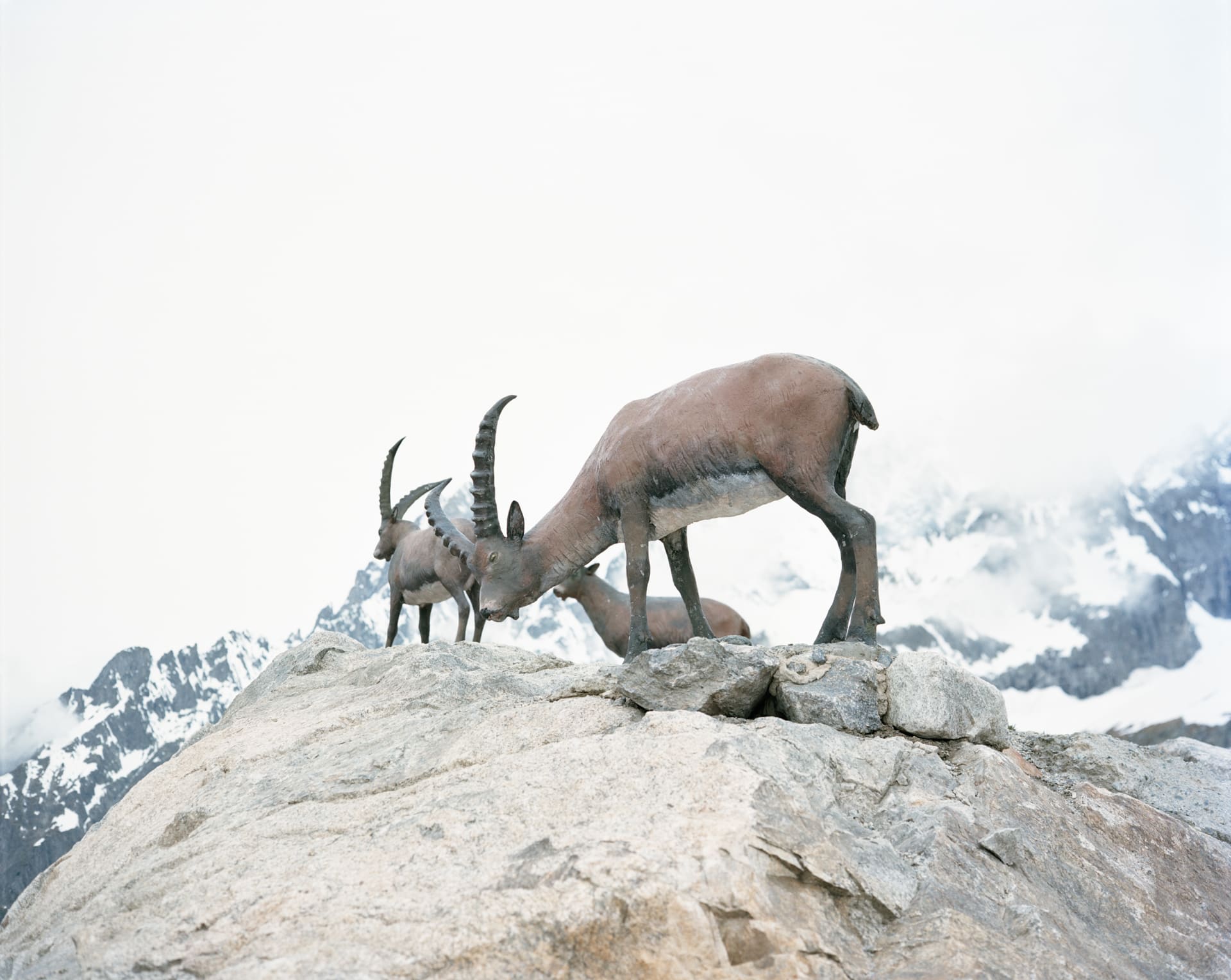 Brenva. Stefano Cerio