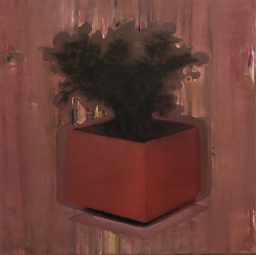 House Plant ATTILA SZŰCS YEAR 2017 Oil on Canvas 50 × 50 cm