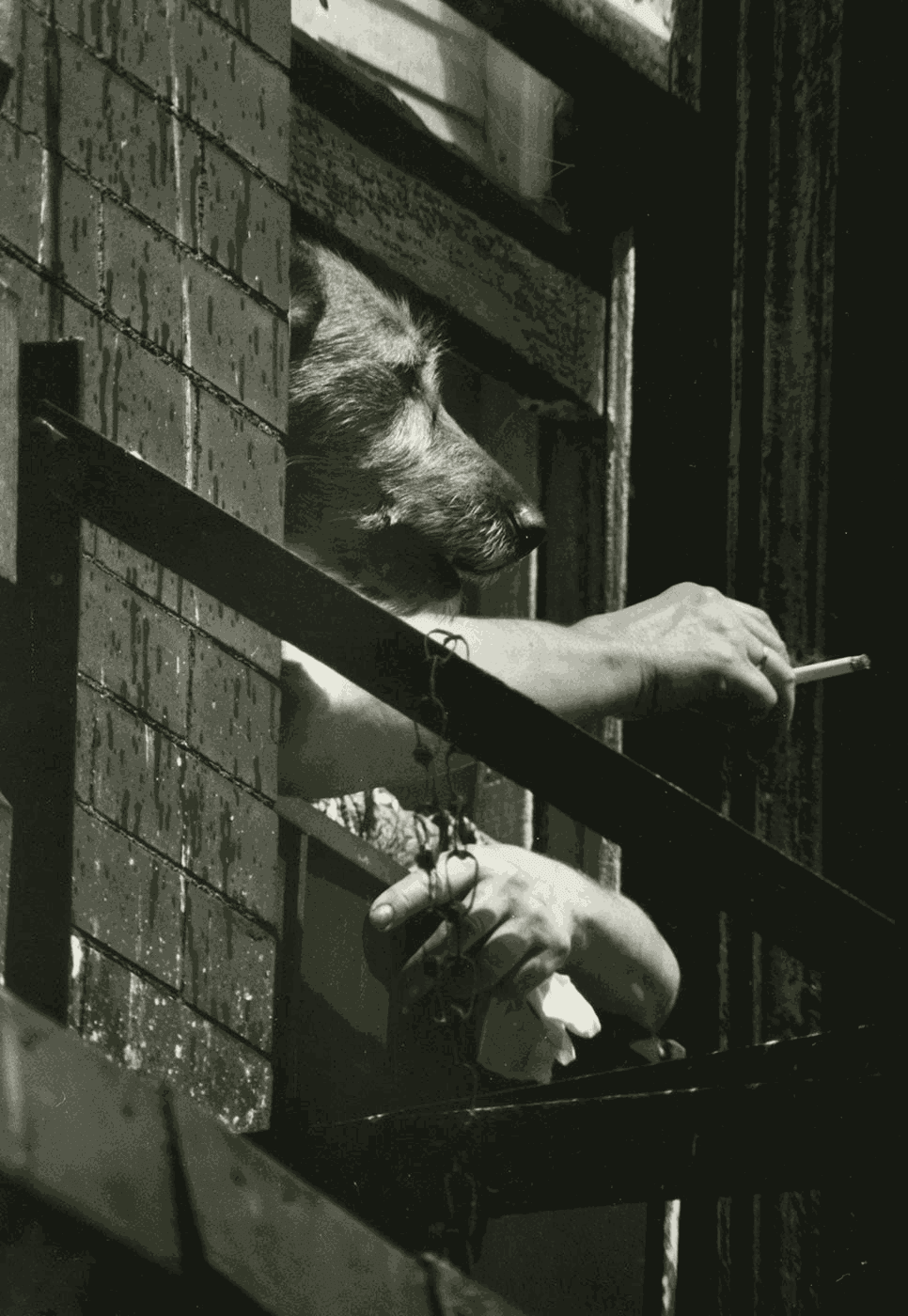 Art Shay, Legendary Photographer