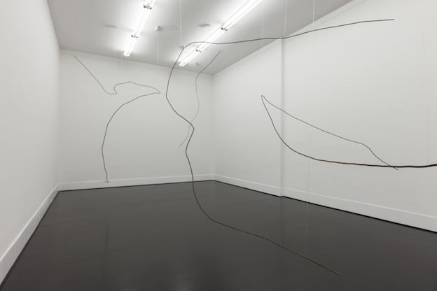 Diango Hernandez. Hurricanes