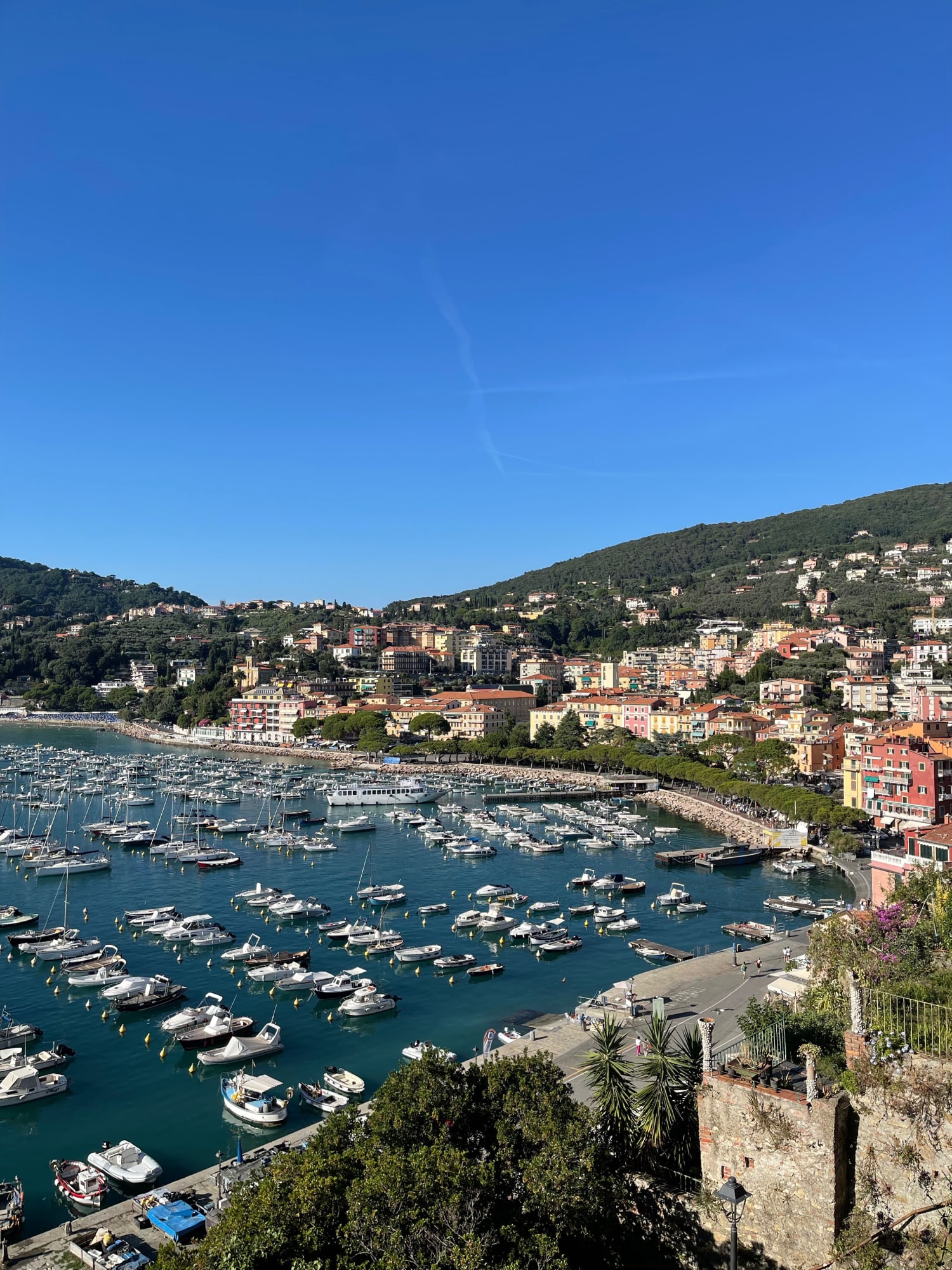 Floating: Diango Hernández New Paintings and Drawings. Olaismo