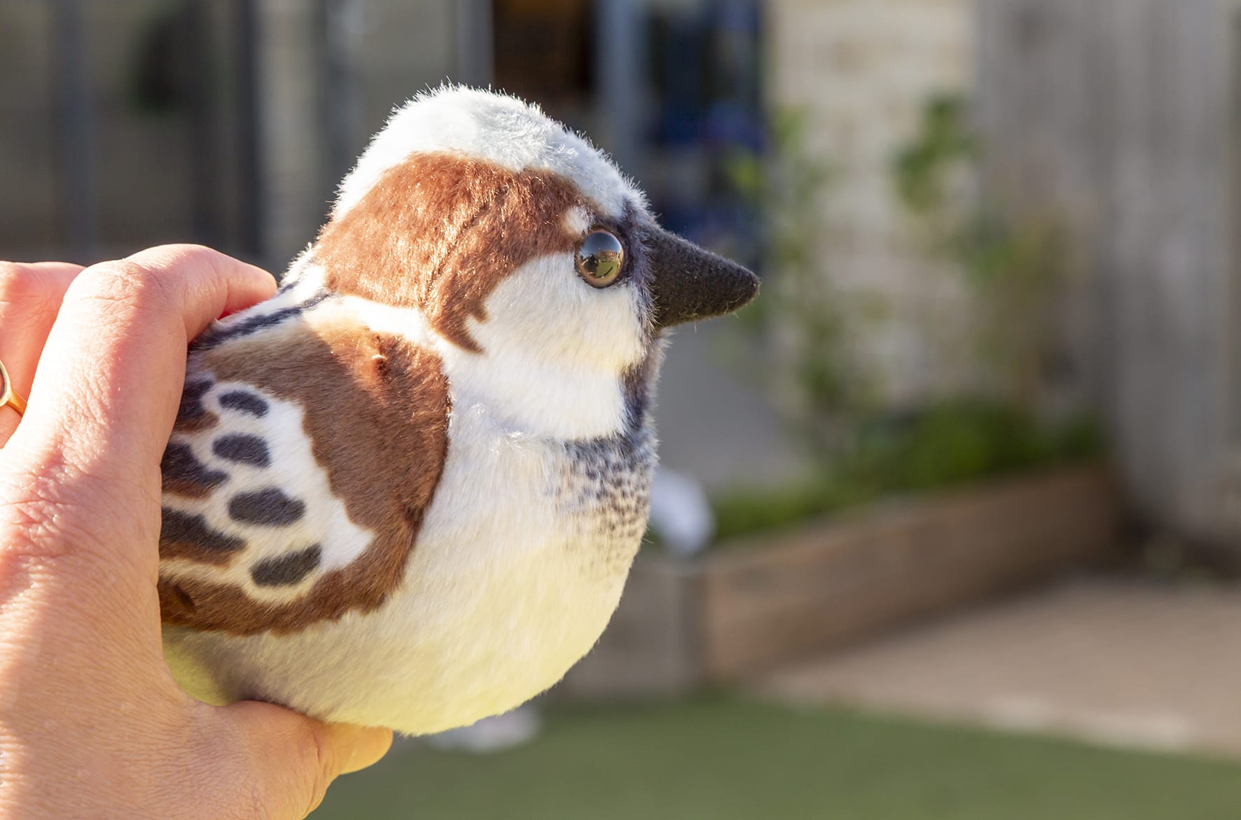 SPARROW KEEPERS