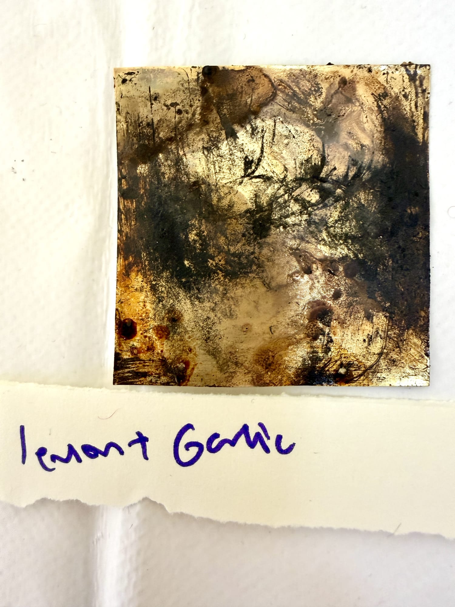 Xenia Creative Retreat