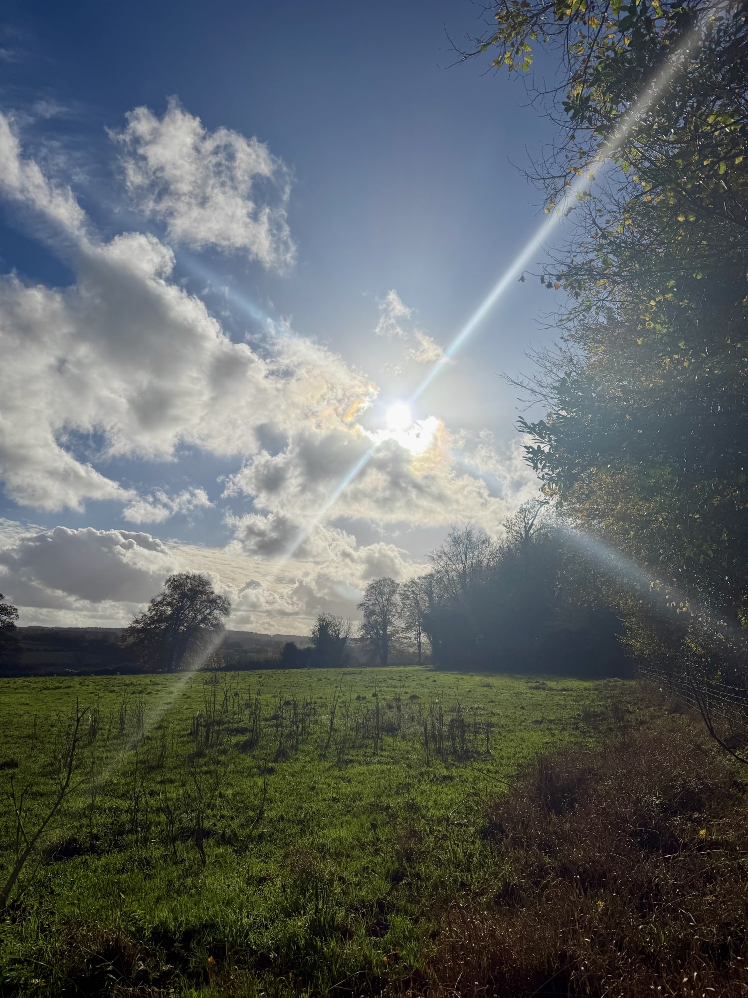 Xenia Creative Retreat