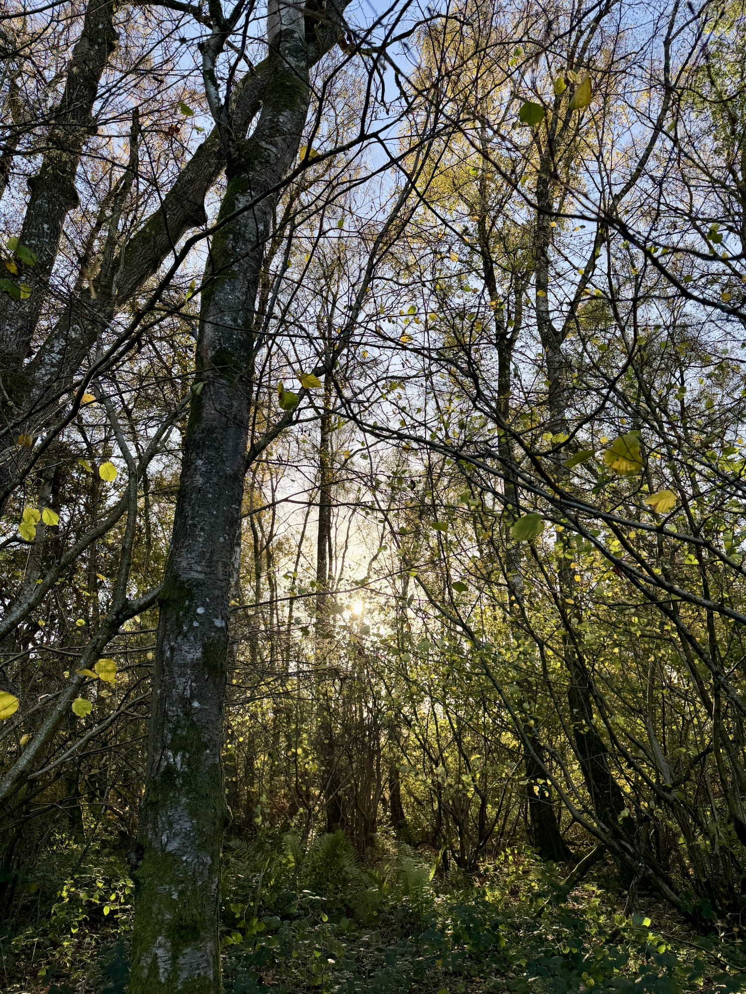 Xenia Creative Retreat