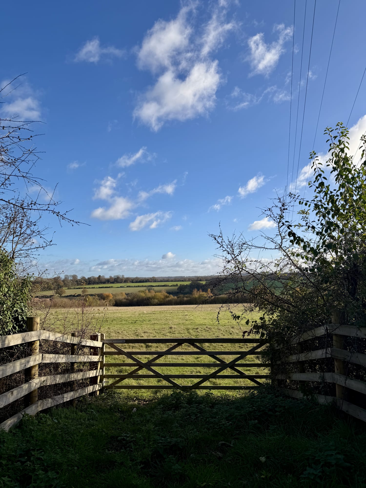 Xenia Creative Retreat