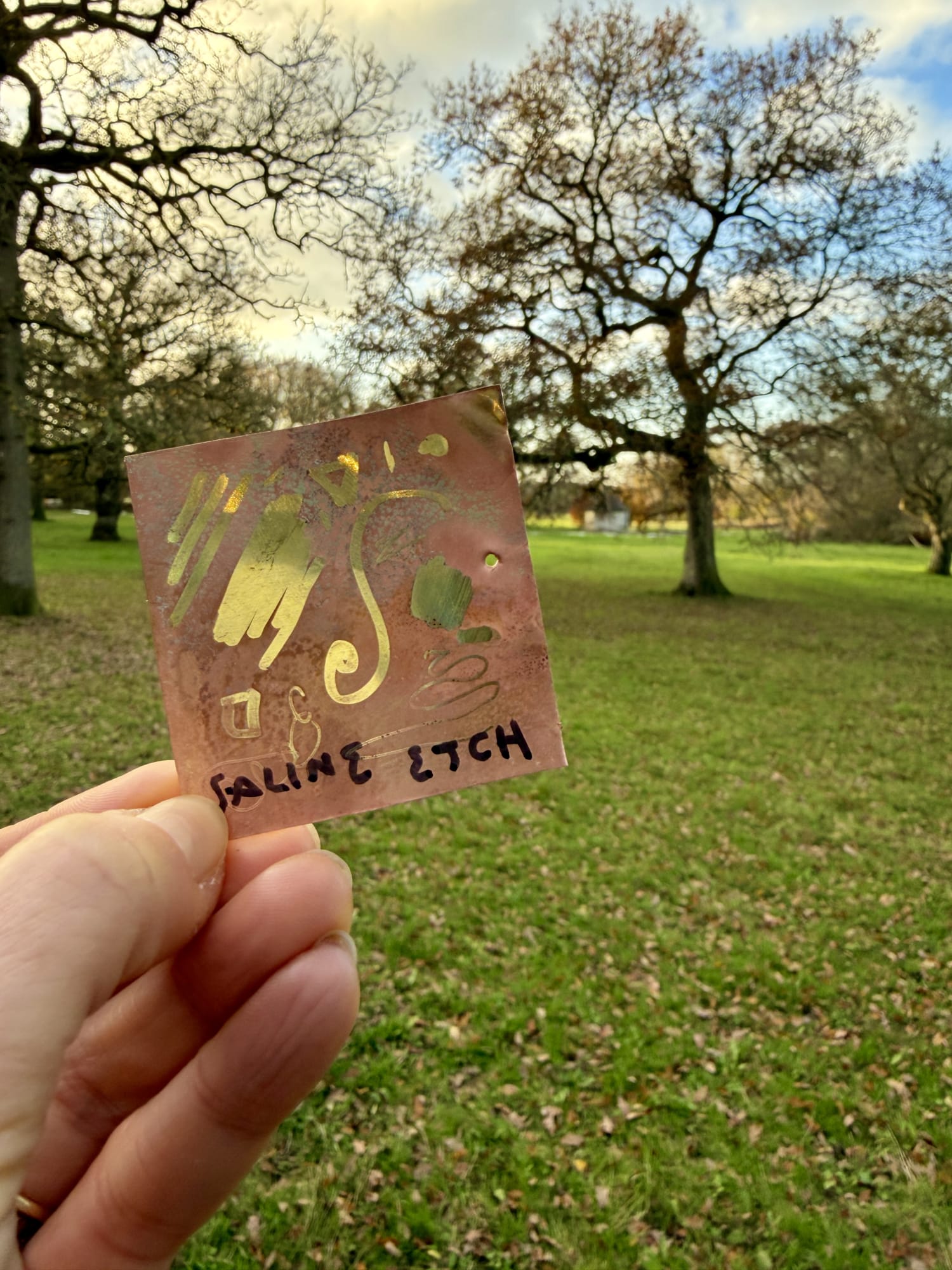 Xenia Creative Retreat