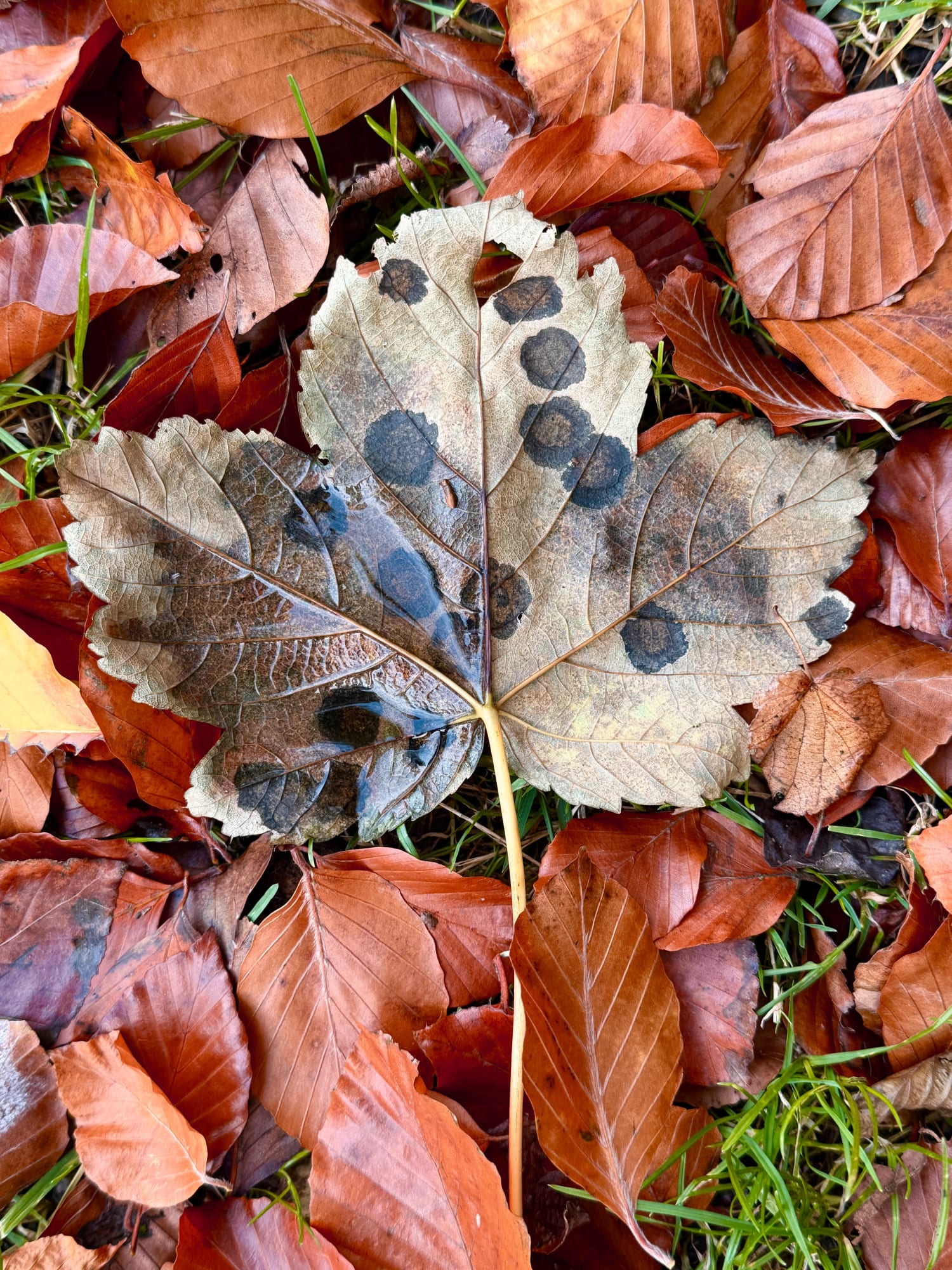 Xenia Creative Retreat