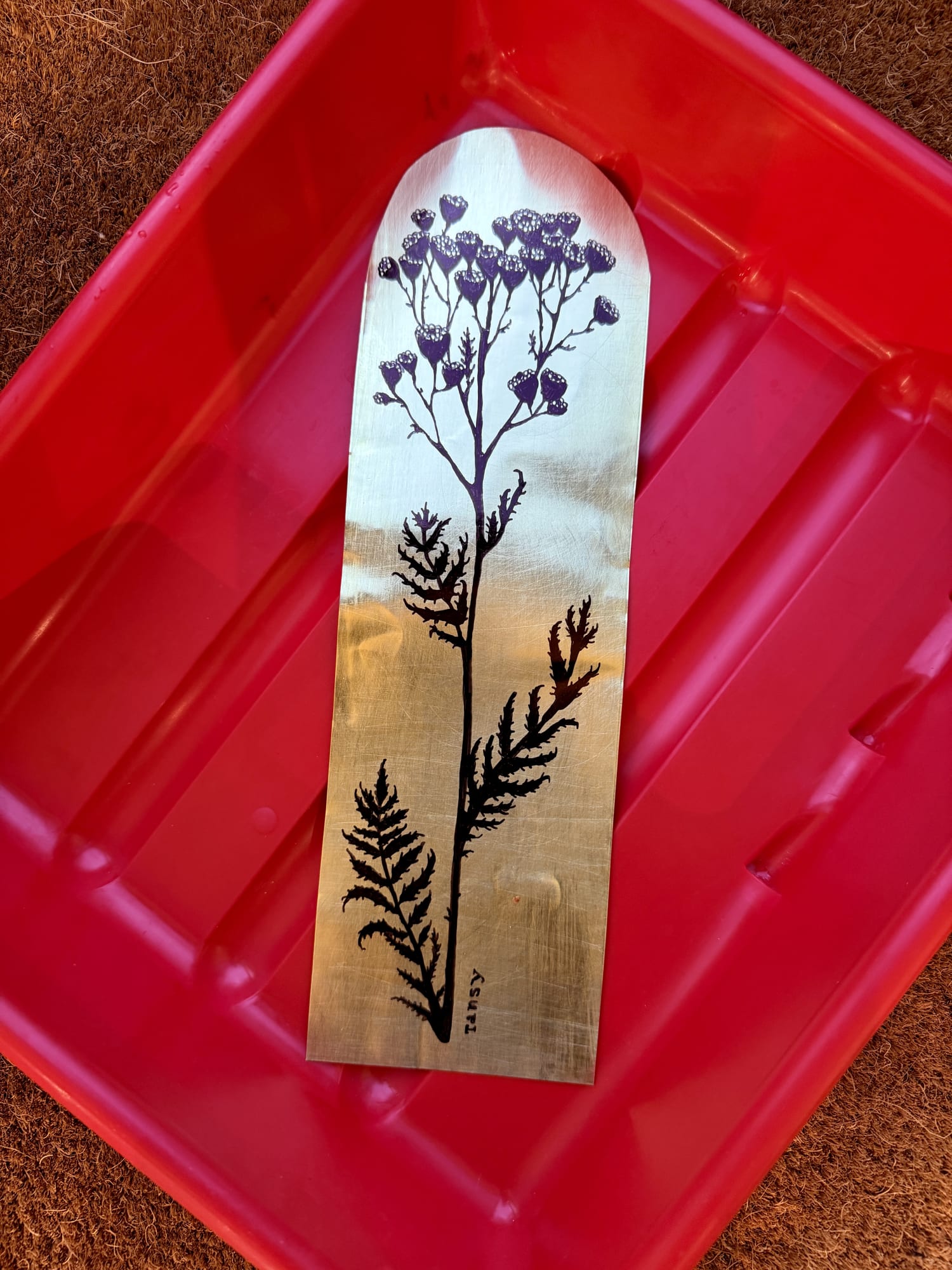 Xenia Creative Retreat