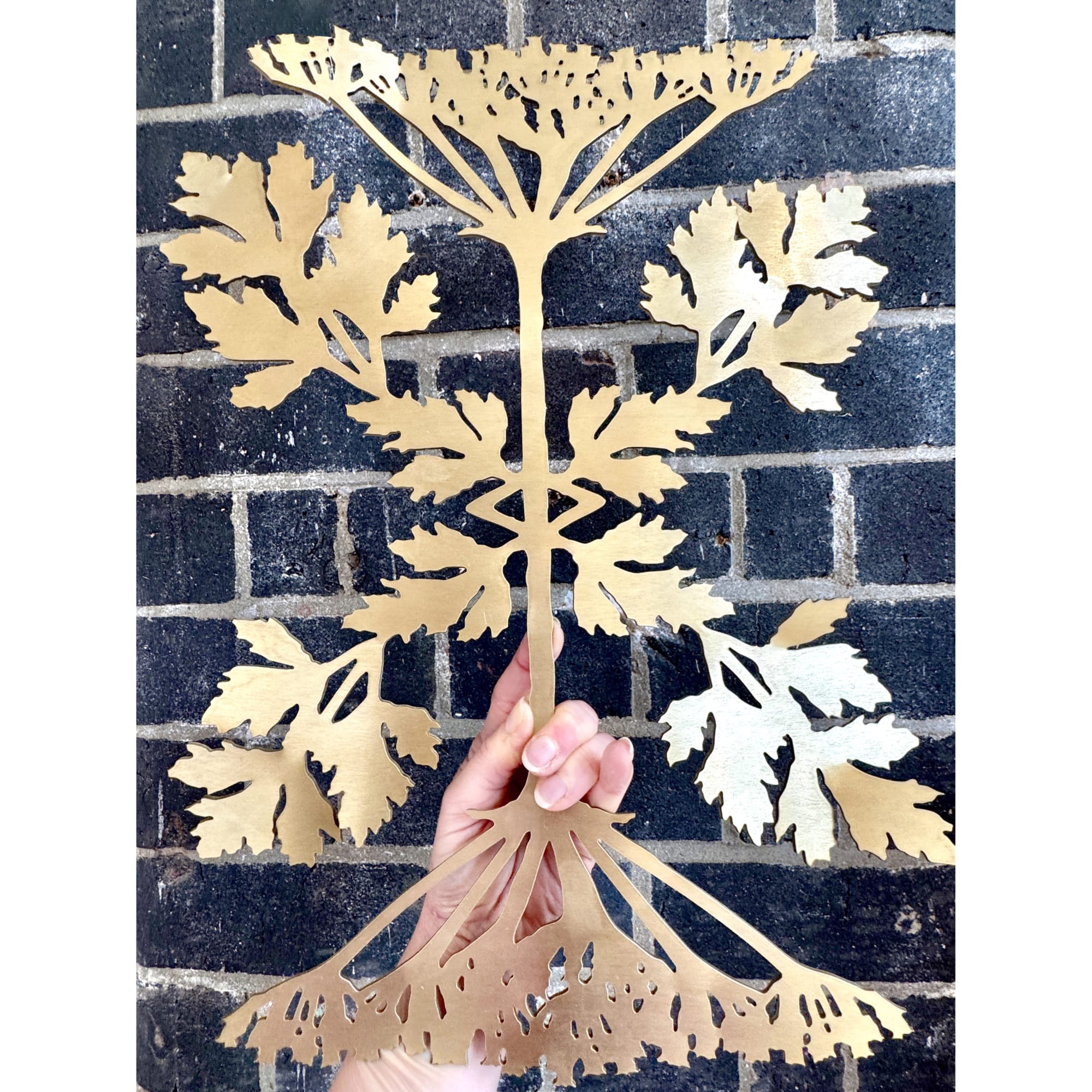 SIMPLING - S E R I E S