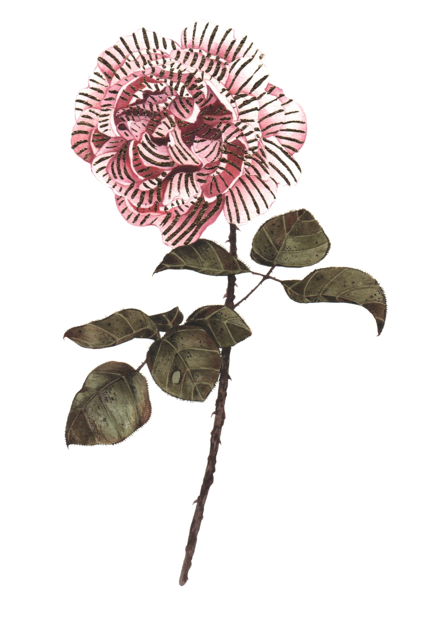 Royal Holloway University