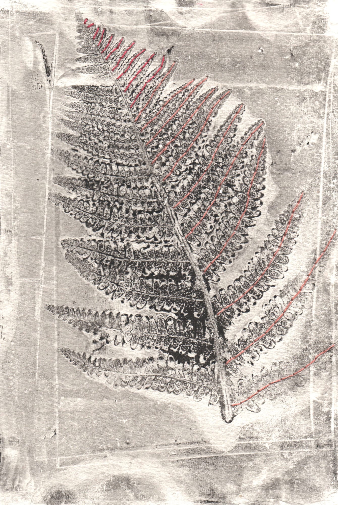 Royal Holloway University