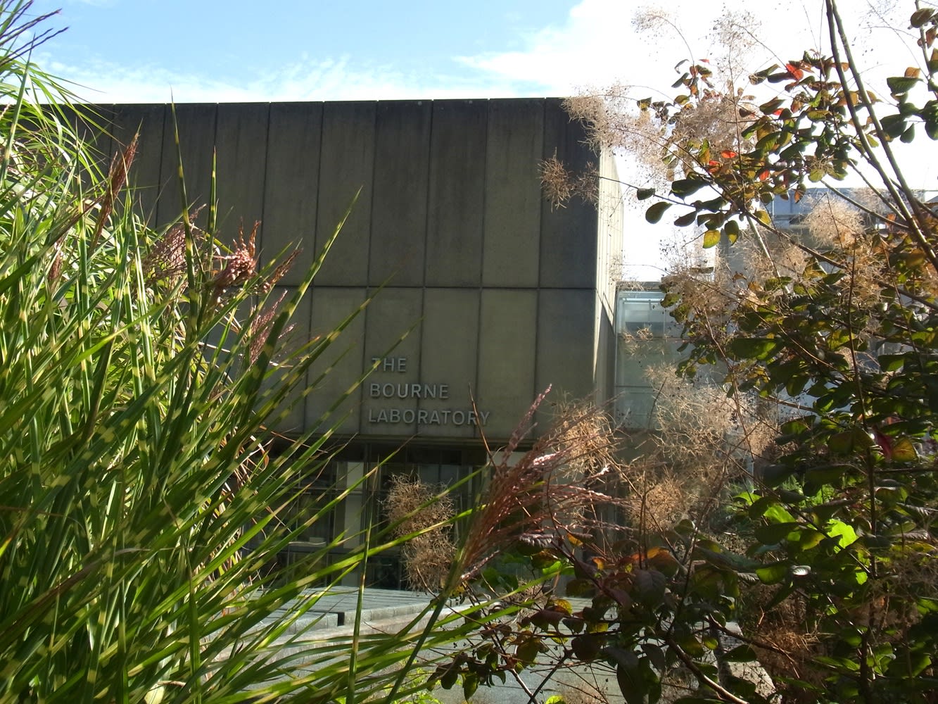 Royal Holloway University