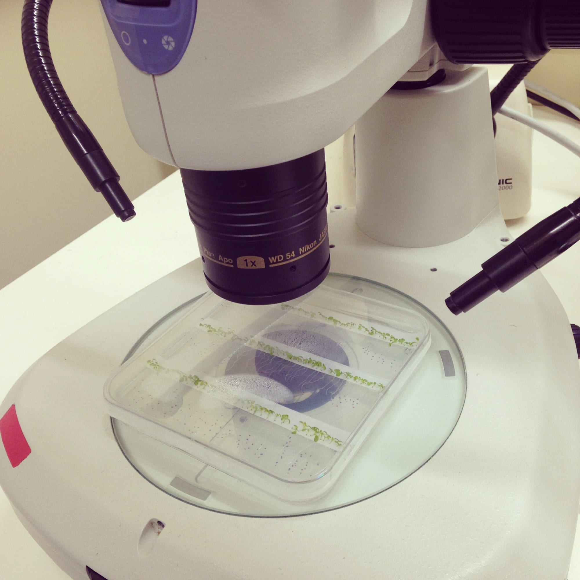 Royal Holloway University